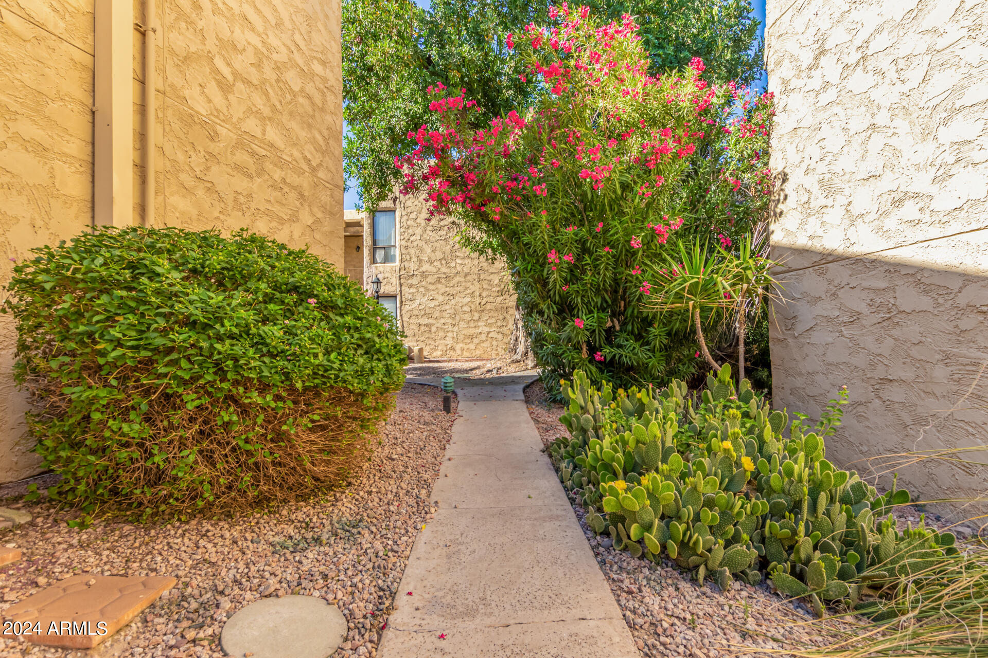 4950 North Miller Road, Unit 347 Scottsdale, AZ 85251 - Photo 30 of 31 a view of a pathway with flower plants