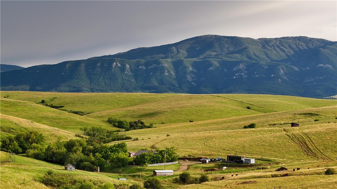 581 Willow Creek Road Red Lodge, MT 59068 - Photo 2 of 50 Gallery Image 2
