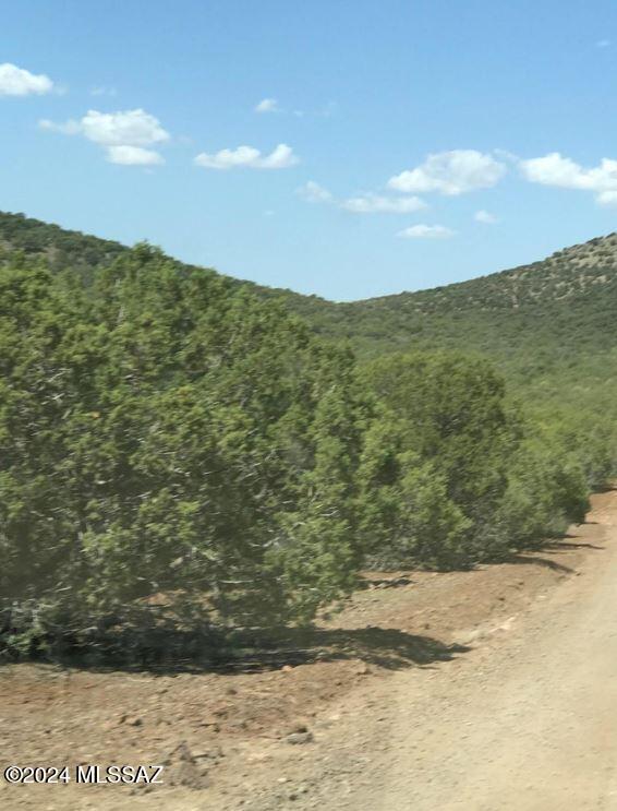 268 Olivas Alone Road Williams, AZ 86046 - Photo 1 of 12