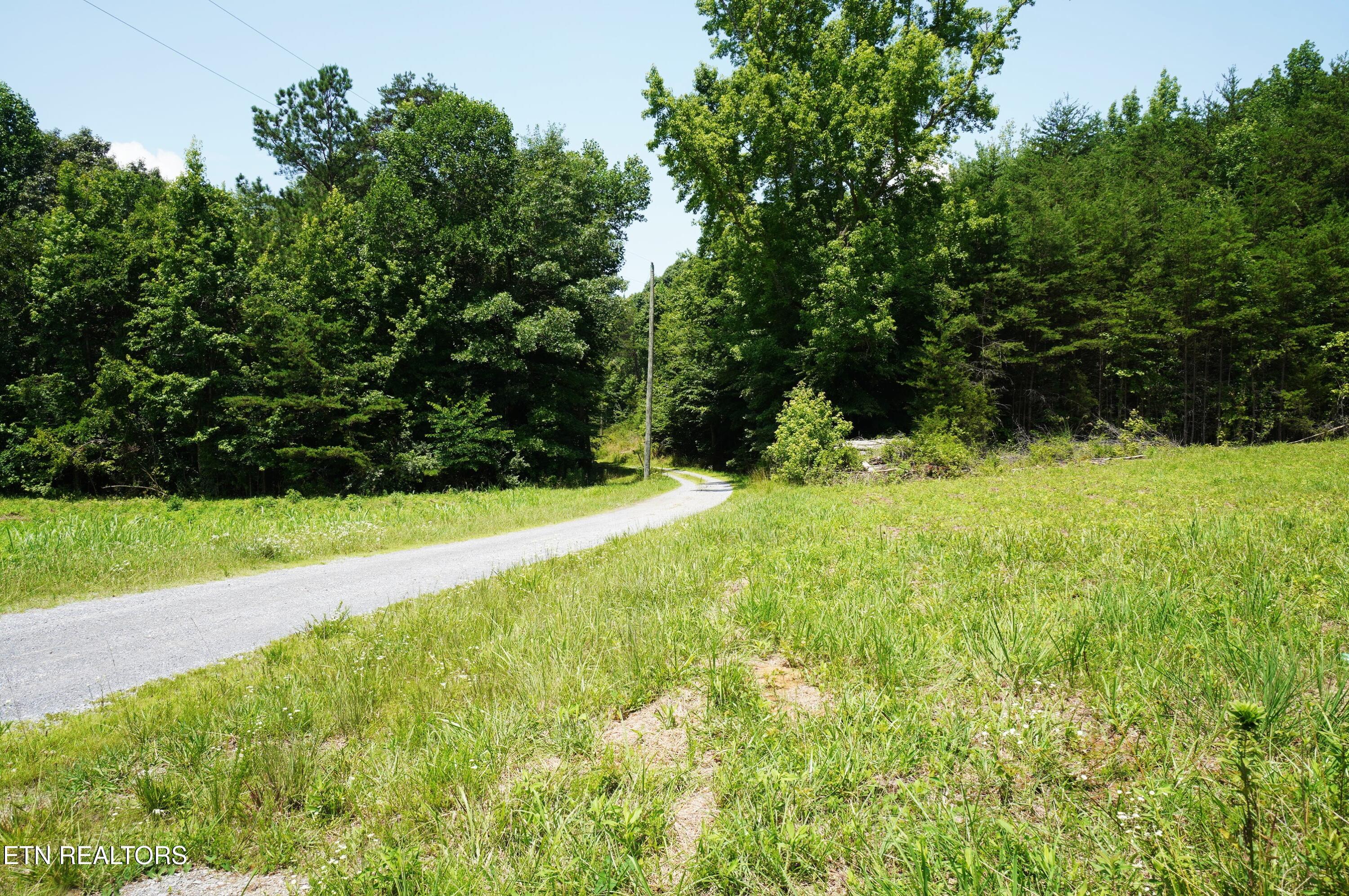 0 Rhyne Camp Road Newport, TN 37821 - Photo 14 of 19 camp rhyne rd (5)
