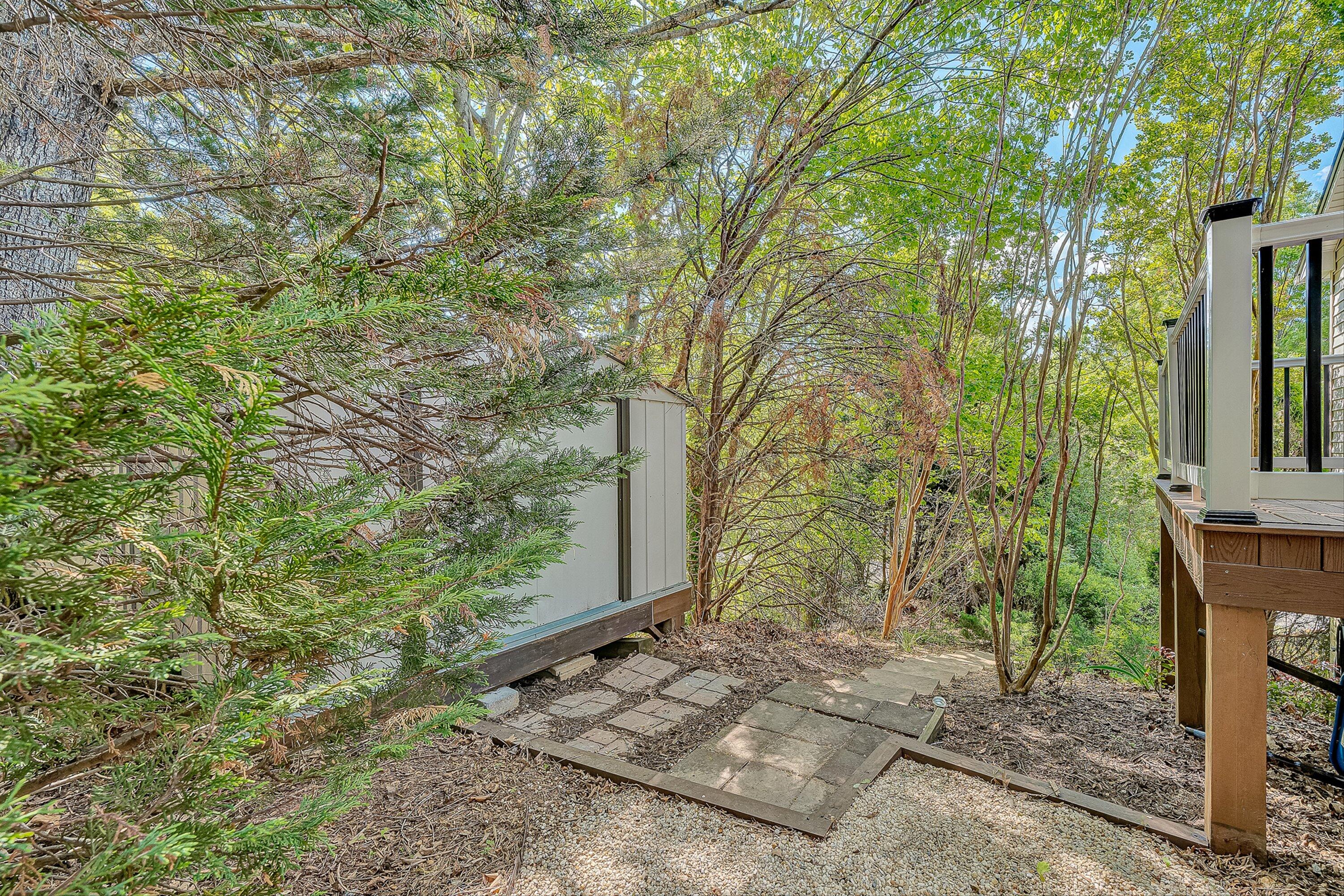 4723 Norwood Street Southwest Roanoke, VA 24018 - Photo 72 of 84 a backyard of a house with lots of plants and large trees