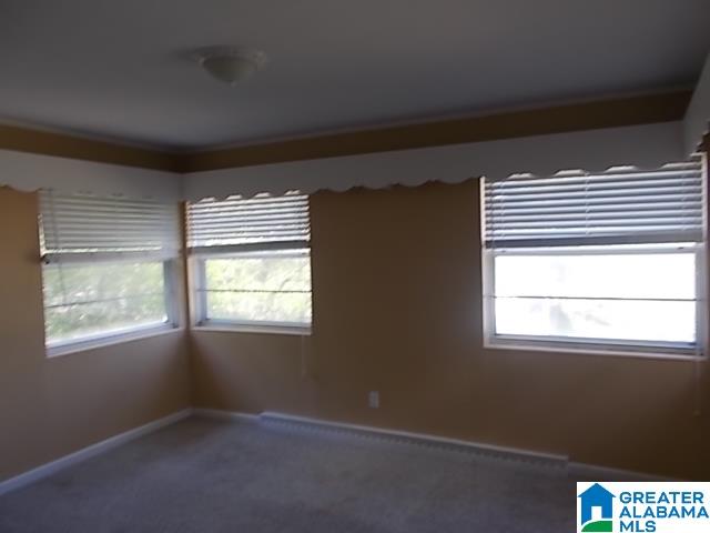 2113 5th Street South Birmingham, AL 35205 - Photo 9 of 12