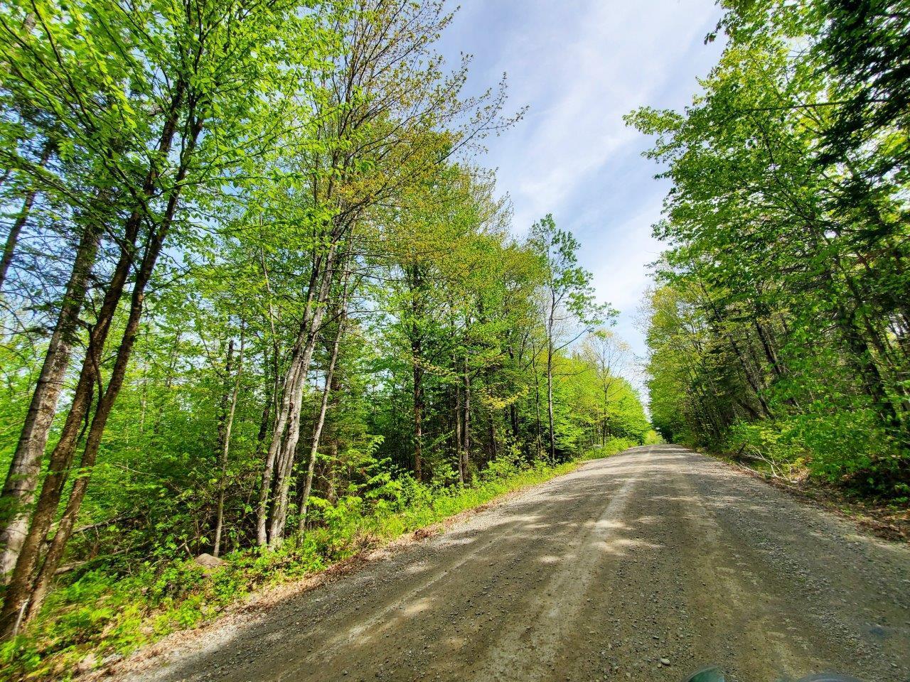 Lot 5 Maple Road Milo, ME 04463 - Photo 20 of 20 20260523_135604 adj
