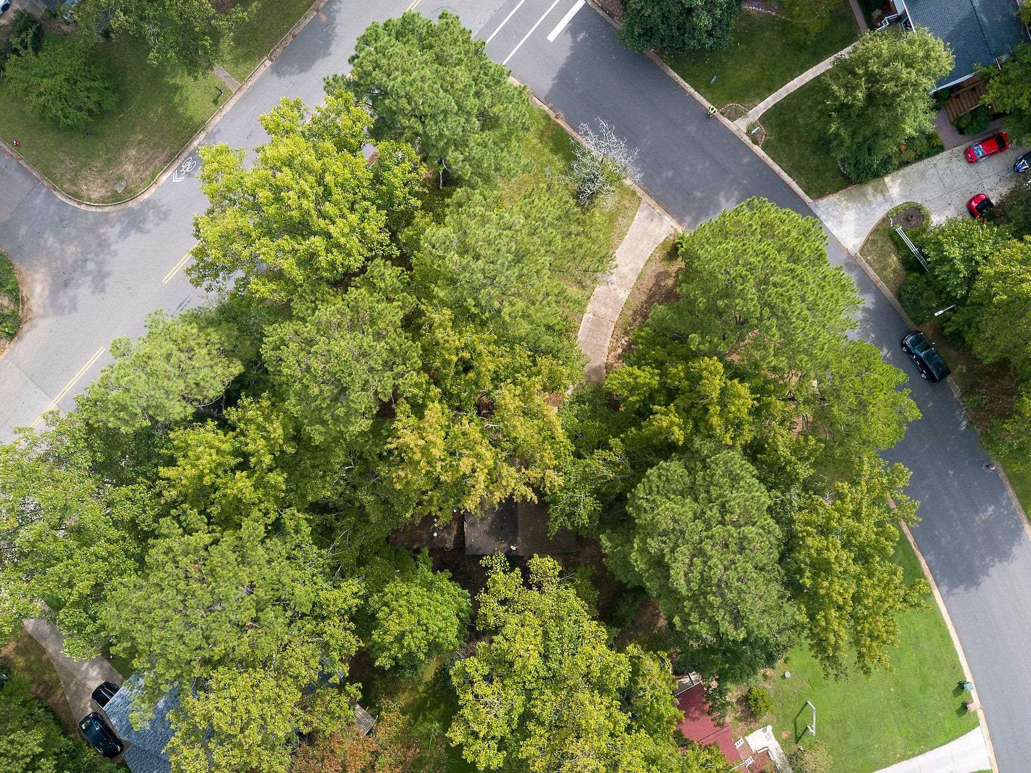 1307 Brookgreen Drive Cary, NC 27511 - Photo 3 of 26