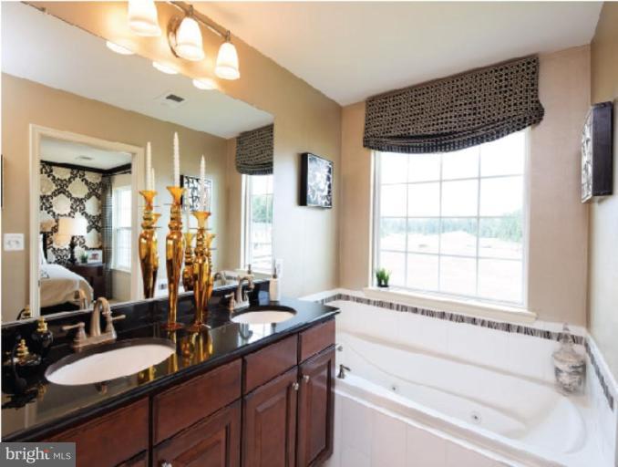 23050 Meadow Mist Road, Unit 25 Clarksburg, MD 20871 - Photo 4 of 10 Master Bath