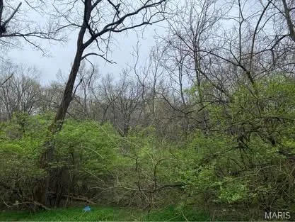 $23,000 | 0 Jewell Street, Park Hills, MO 63601