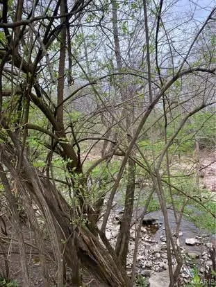 $23,000 | 0 Jewell Street, Park Hills, MO 63601