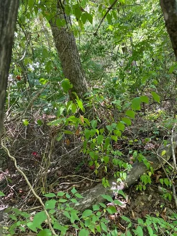 $23,000 | 0 Jewell Street, Park Hills, MO 63601