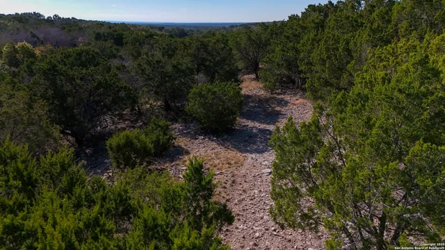 a view of a yard with a tree