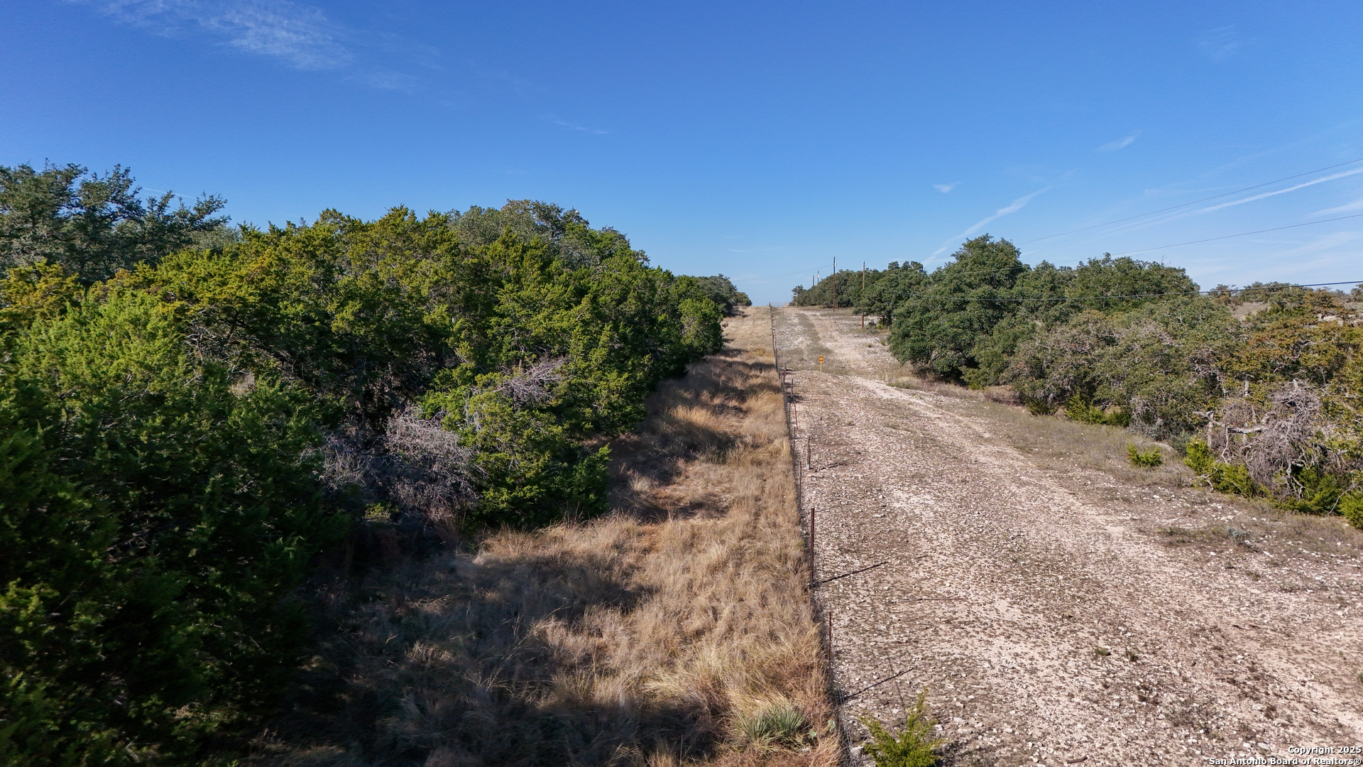 1031 Shin Oak Road Menard, TX 76859 - Photo 30 of 31 a view of a yard with a tree