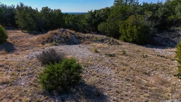 a view of a dry yard with lots of green space