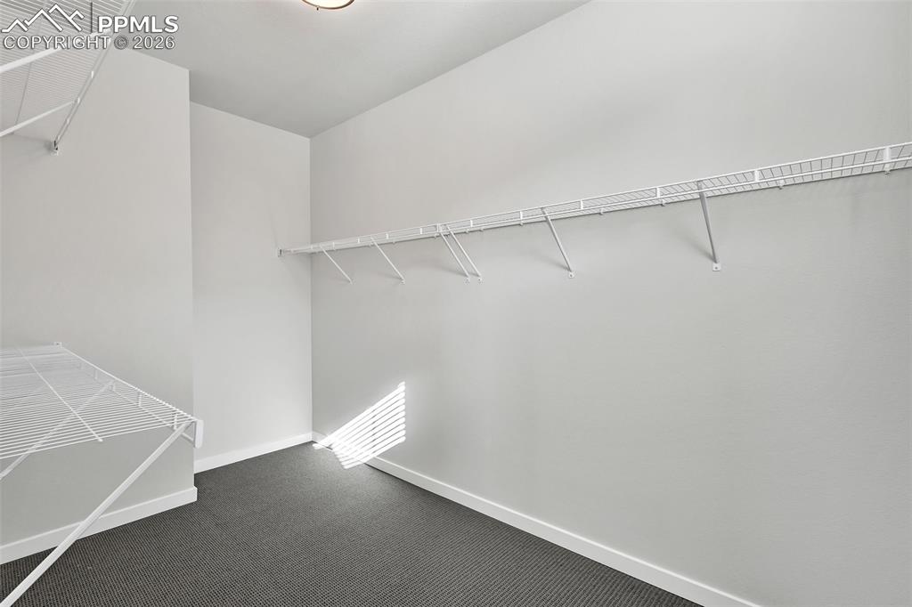 13633 Flurry Heights Colorado Springs, CO 80921 - Photo 17 of 31 a view of small space