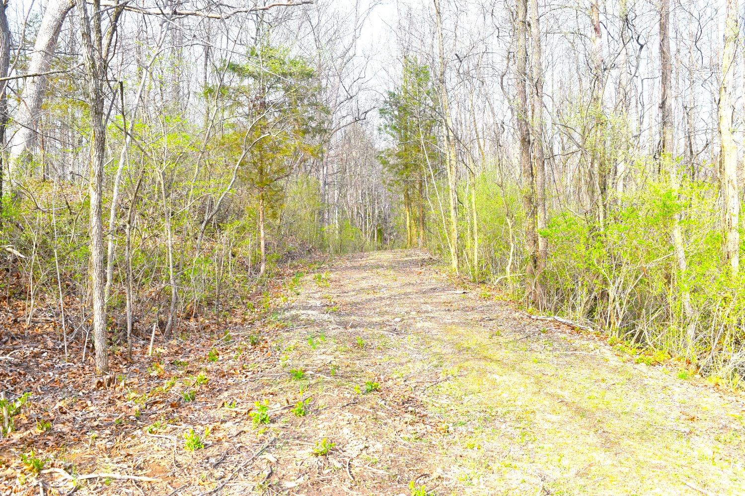 0 Woodland Trail Road Metamora, IN 47030 - Photo 1 of 19 Gallery Image 1