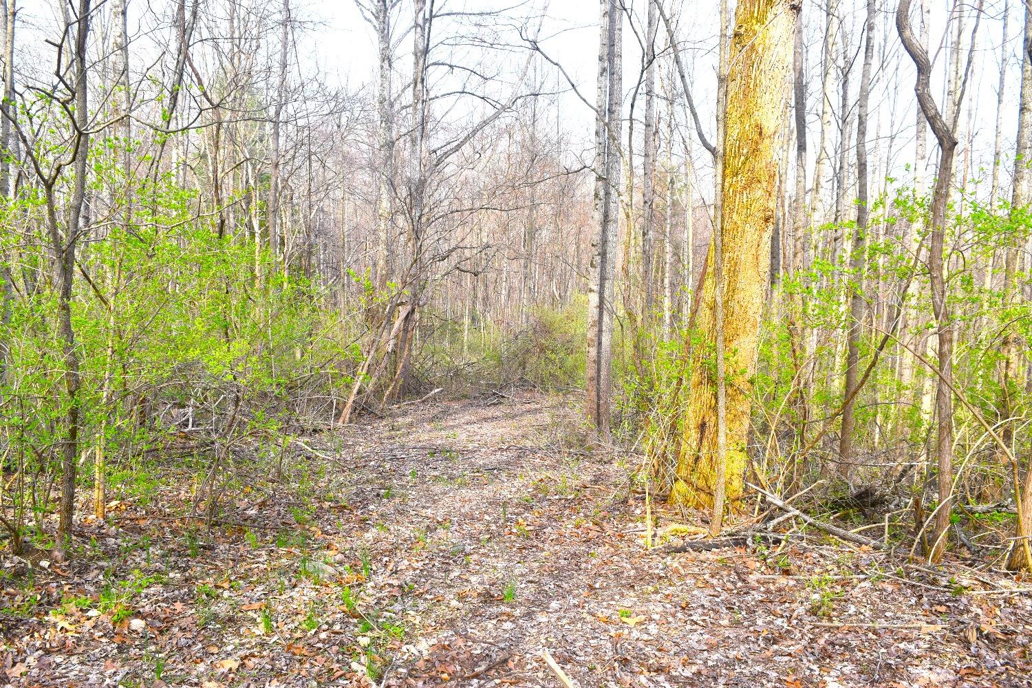 0 Woodland Trail Road Metamora, IN 47030 - Photo 3 of 19 Gallery Image 3