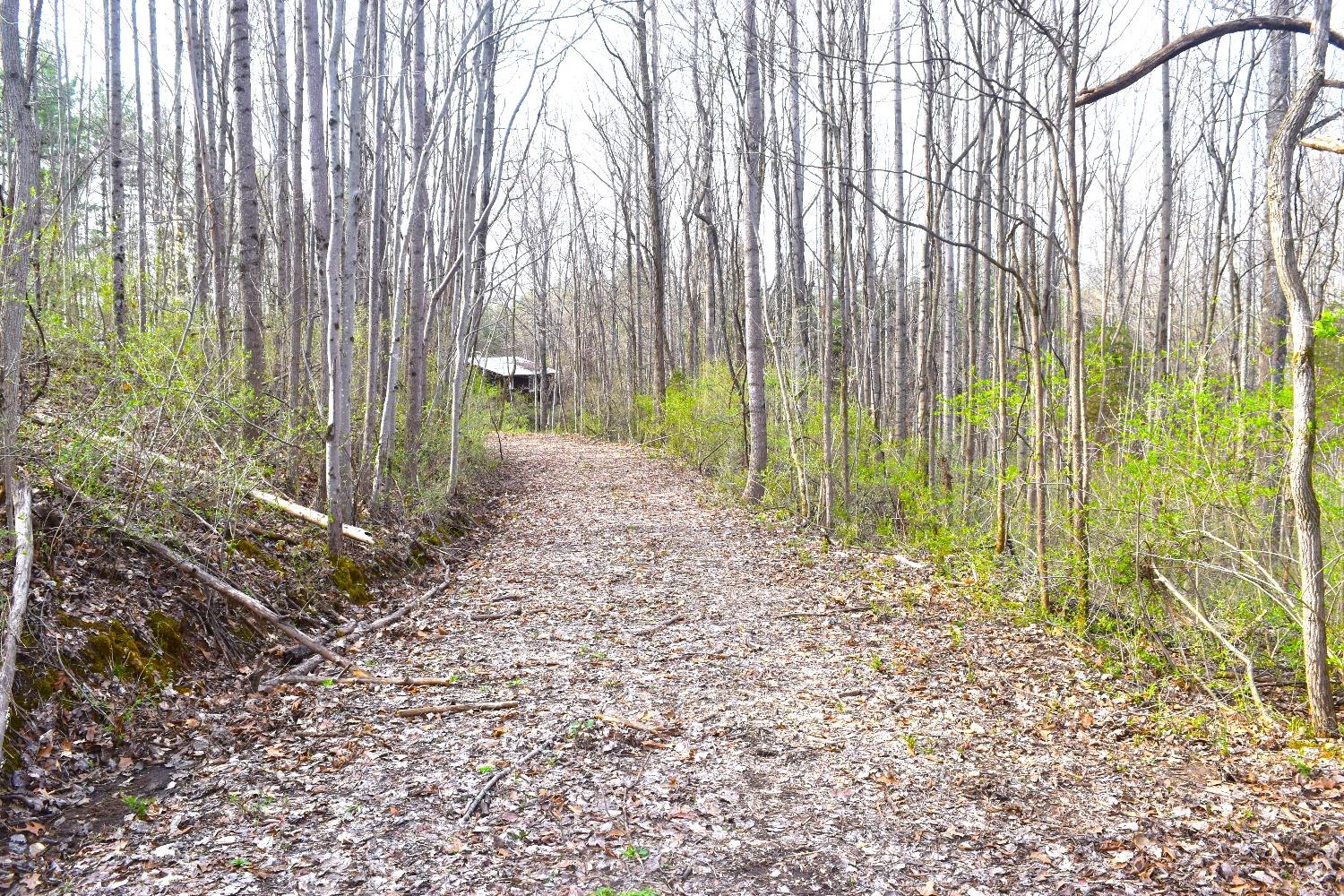 0 Woodland Trail Road Metamora, IN 47030 - Photo 4 of 19 Gallery Image 4