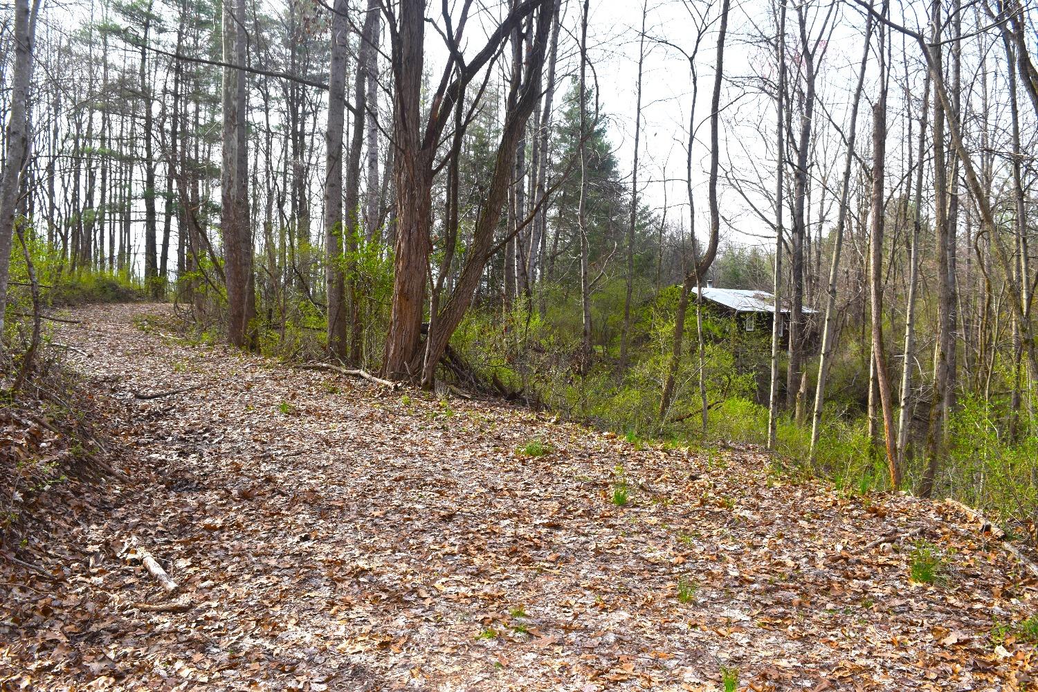 0 Woodland Trail Road Metamora, IN 47030 - Photo 6 of 19 Gallery Image 6