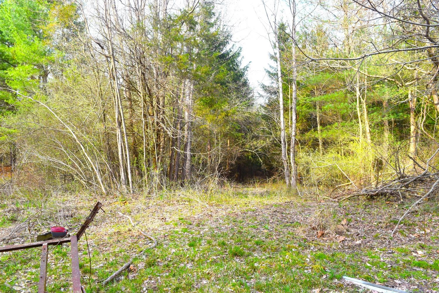 0 Woodland Trail Road Metamora, IN 47030 - Photo 10 of 19 Gallery Image 10