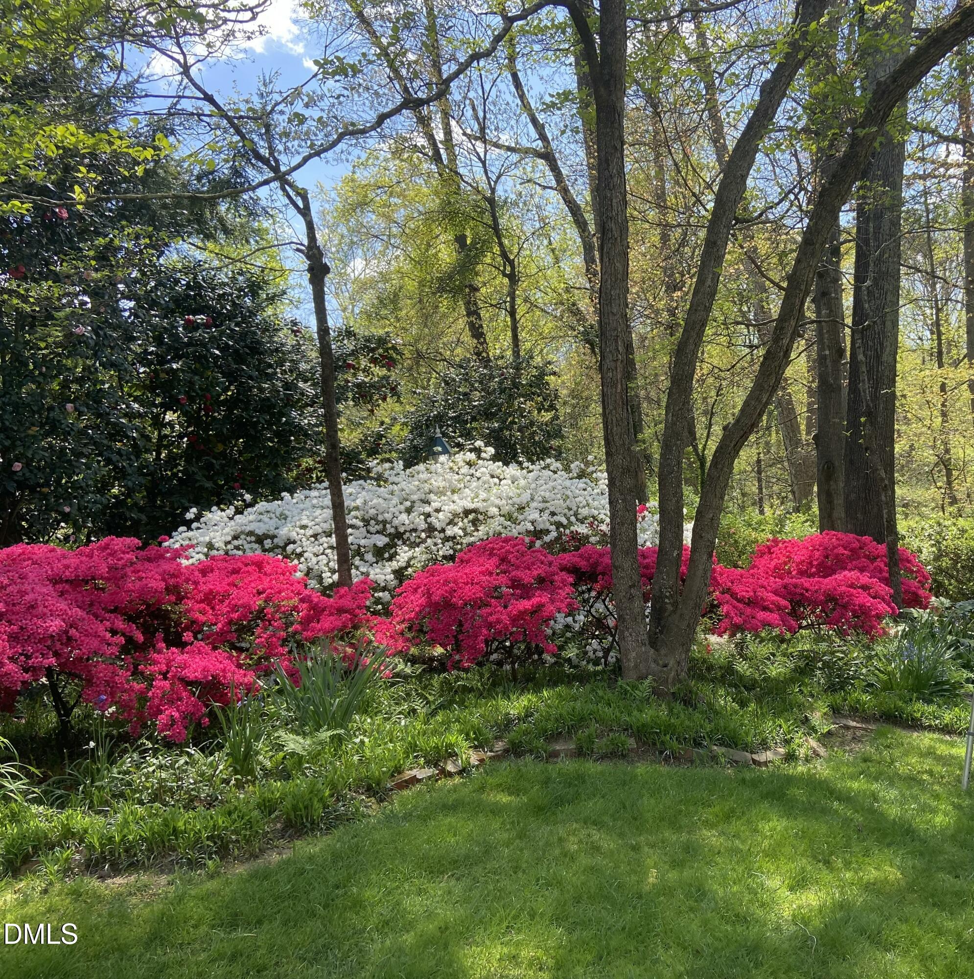 1100 Sudbury Court Raleigh, NC 27609 - Photo 14 of 56 a bunch of flowers and trees