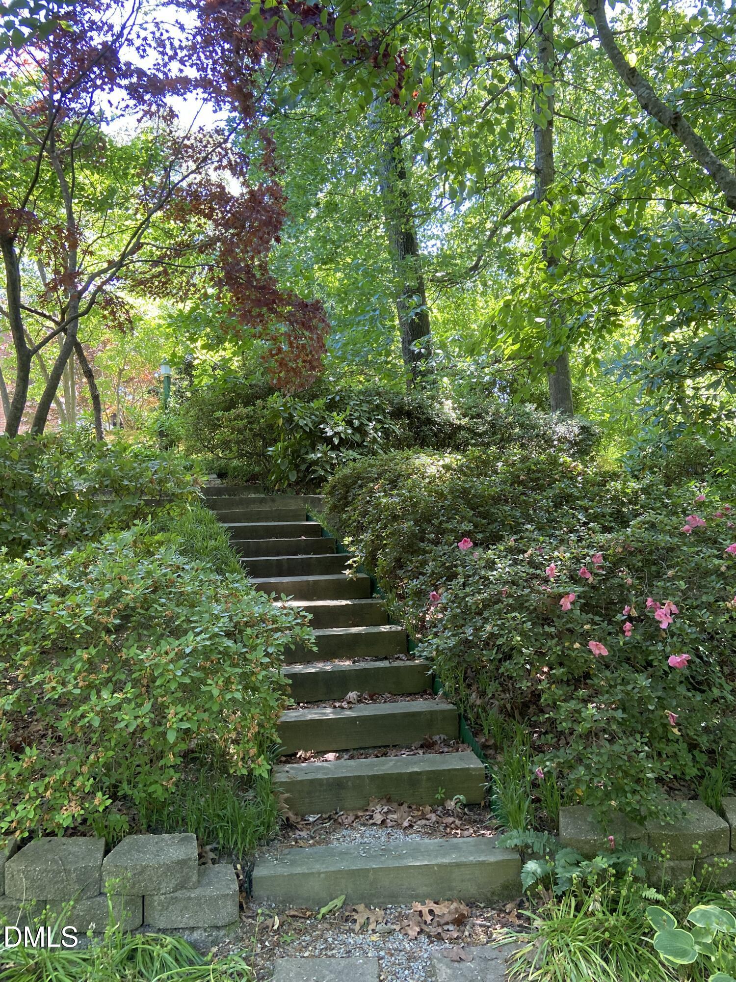 1100 Sudbury Court Raleigh, NC 27609 - Photo 20 of 56 a view of yard with small green space