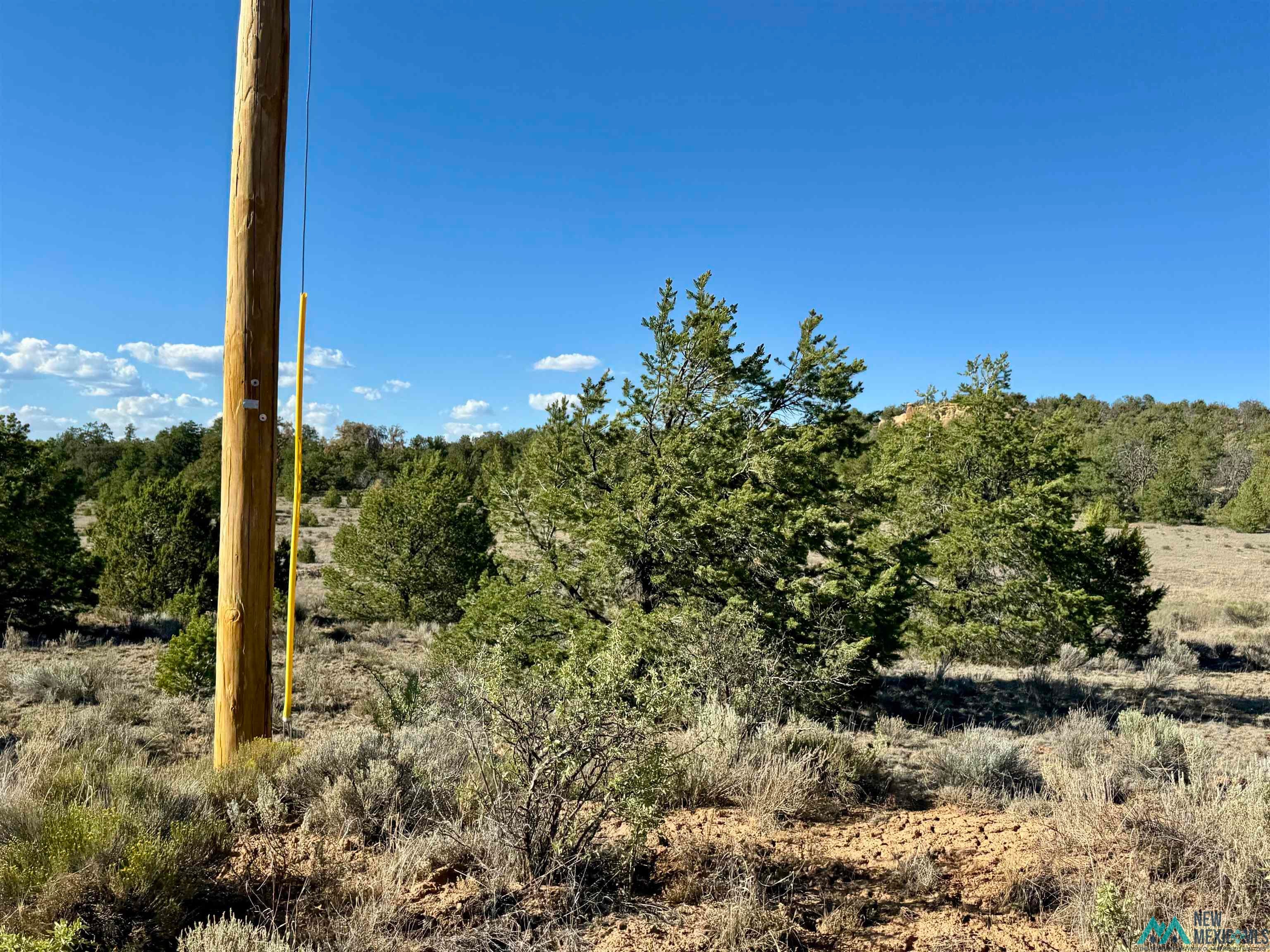 Five Five Gate Road Pinehill, NM 87357 - Photo 4 of 9 Gallery Image 4
