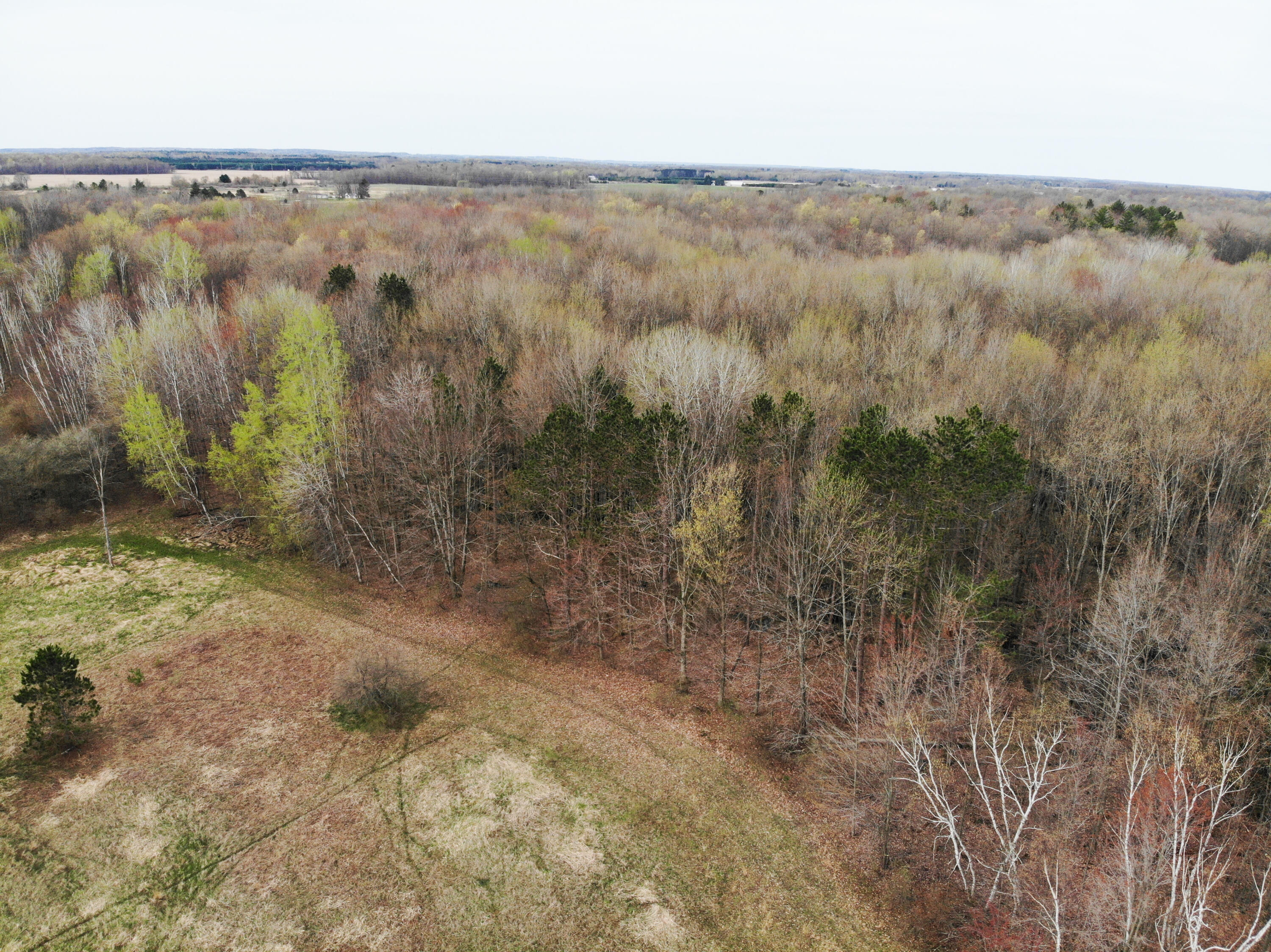 2390 North Larson Road Fountain, MI 49410 - Photo 14 of 65 DJI_0098