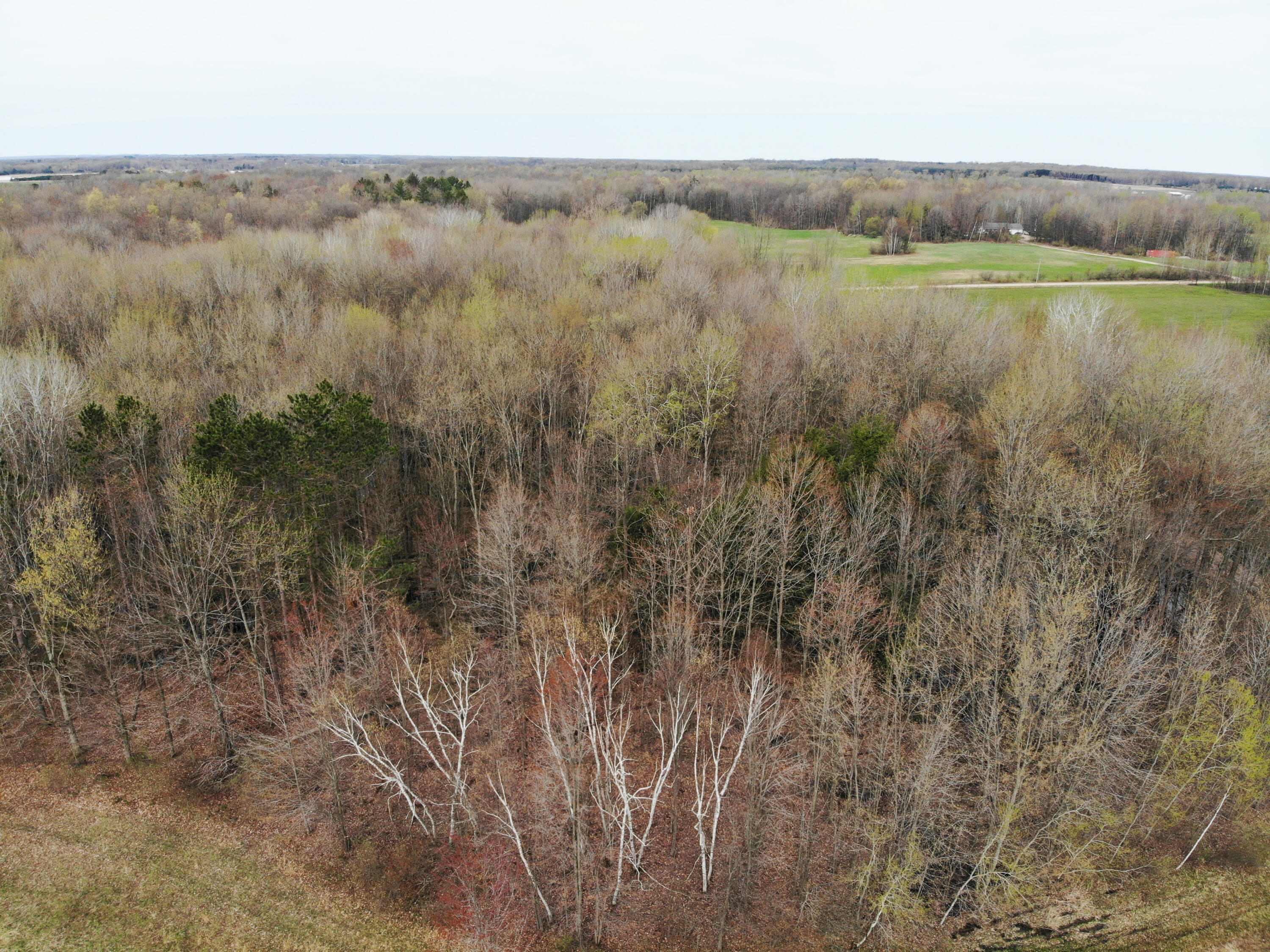 2390 North Larson Road Fountain, MI 49410 - Photo 15 of 65 DJI_0099