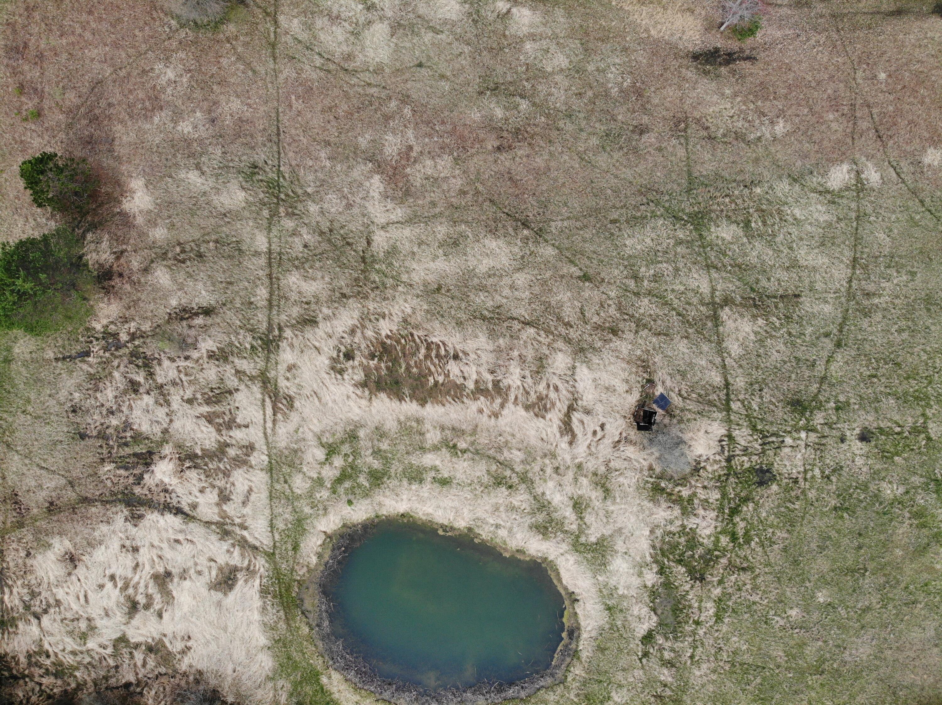 2390 North Larson Road Fountain, MI 49410 - Photo 17 of 65 DJI_0106