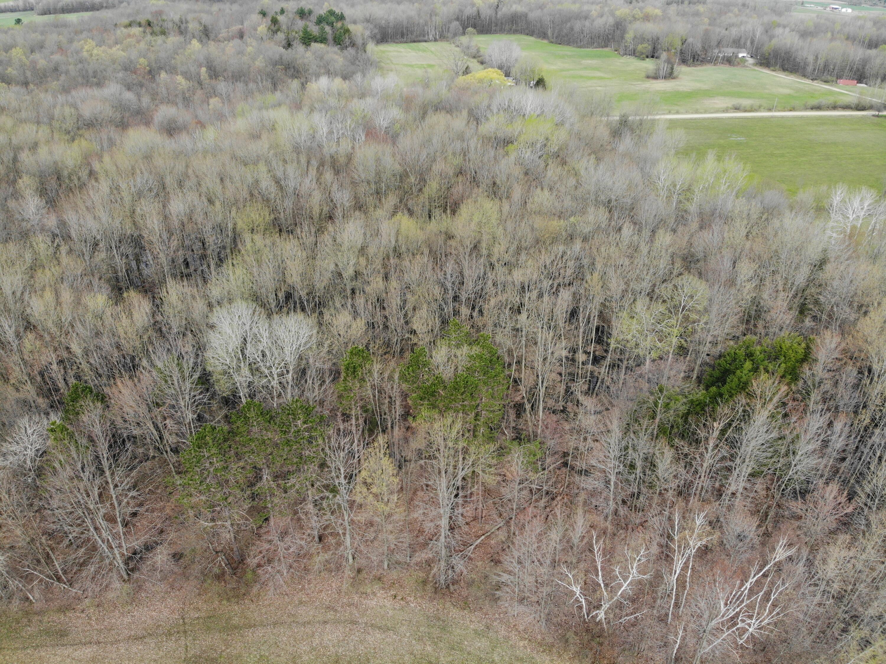 2390 North Larson Road Fountain, MI 49410 - Photo 18 of 65 DJI_0107