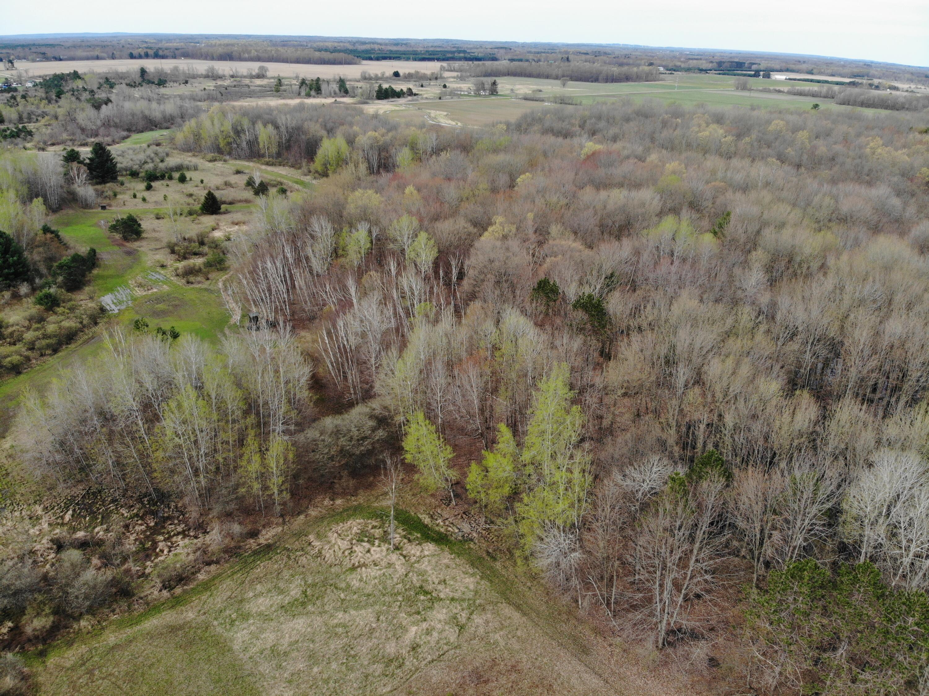 2390 North Larson Road Fountain, MI 49410 - Photo 19 of 65 DJI_0108