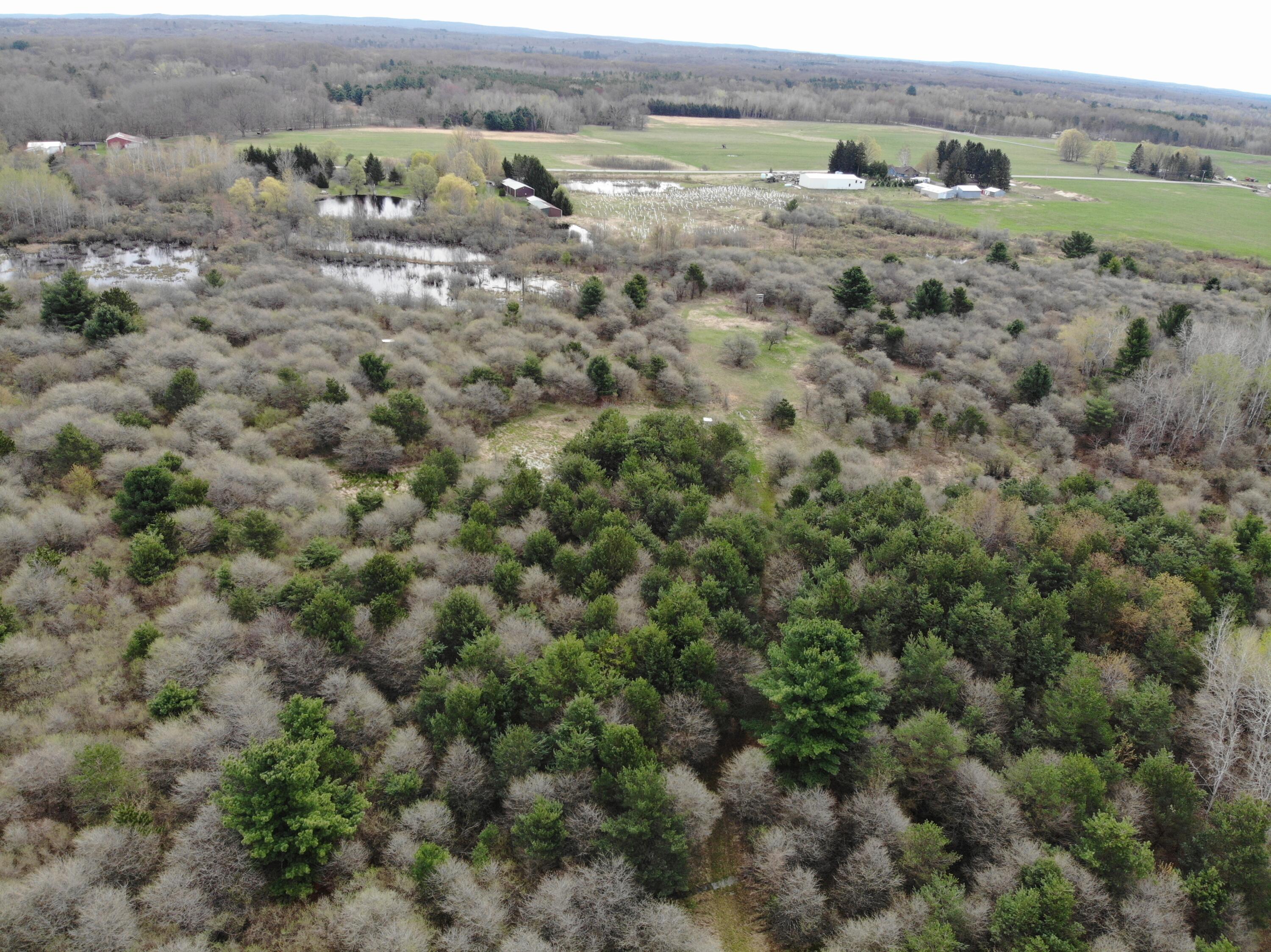 2390 North Larson Road Fountain, MI 49410 - Photo 20 of 65 DJI_0109