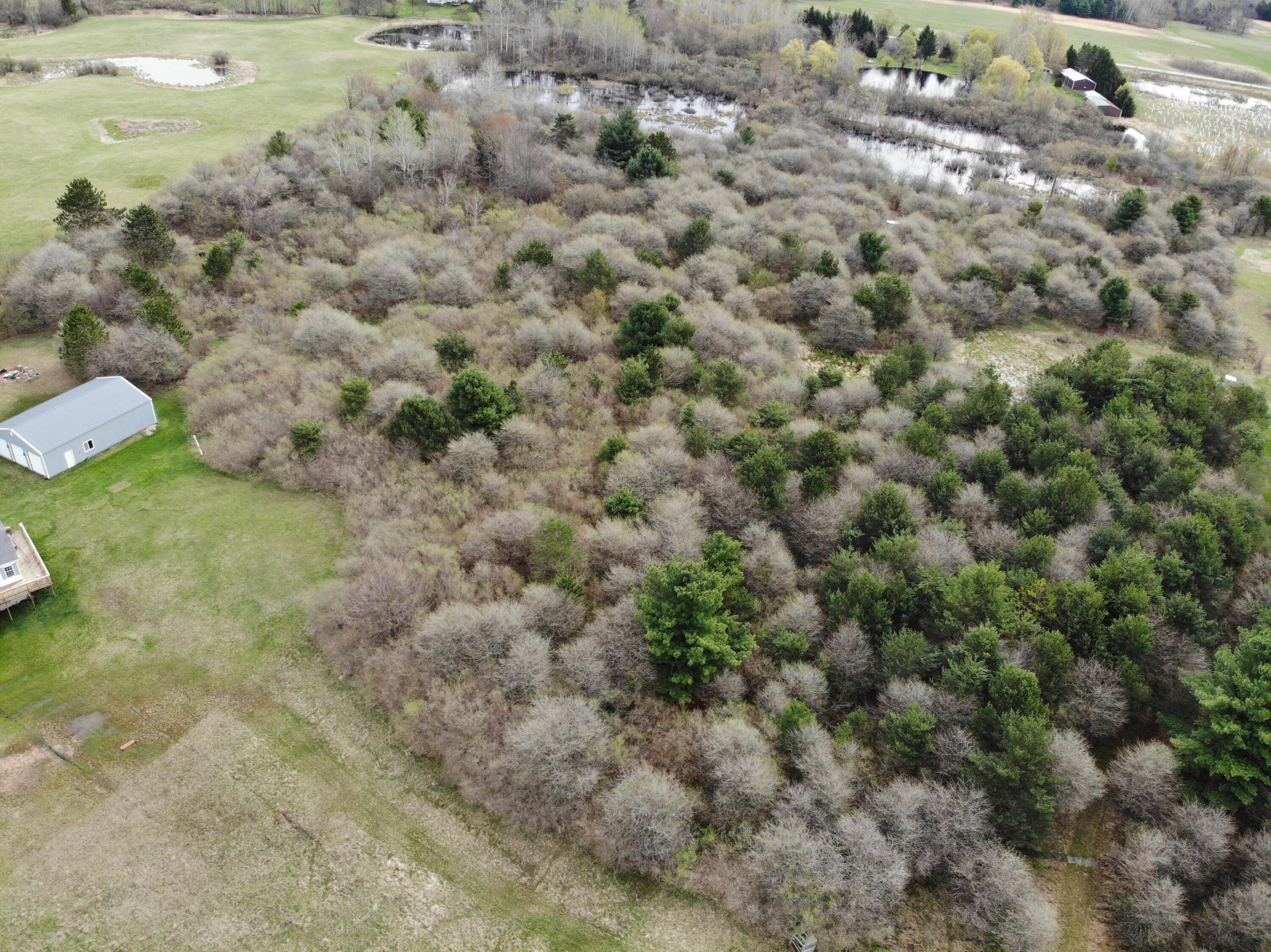 2390 North Larson Road Fountain, MI 49410 - Photo 21 of 65 DJI_0111