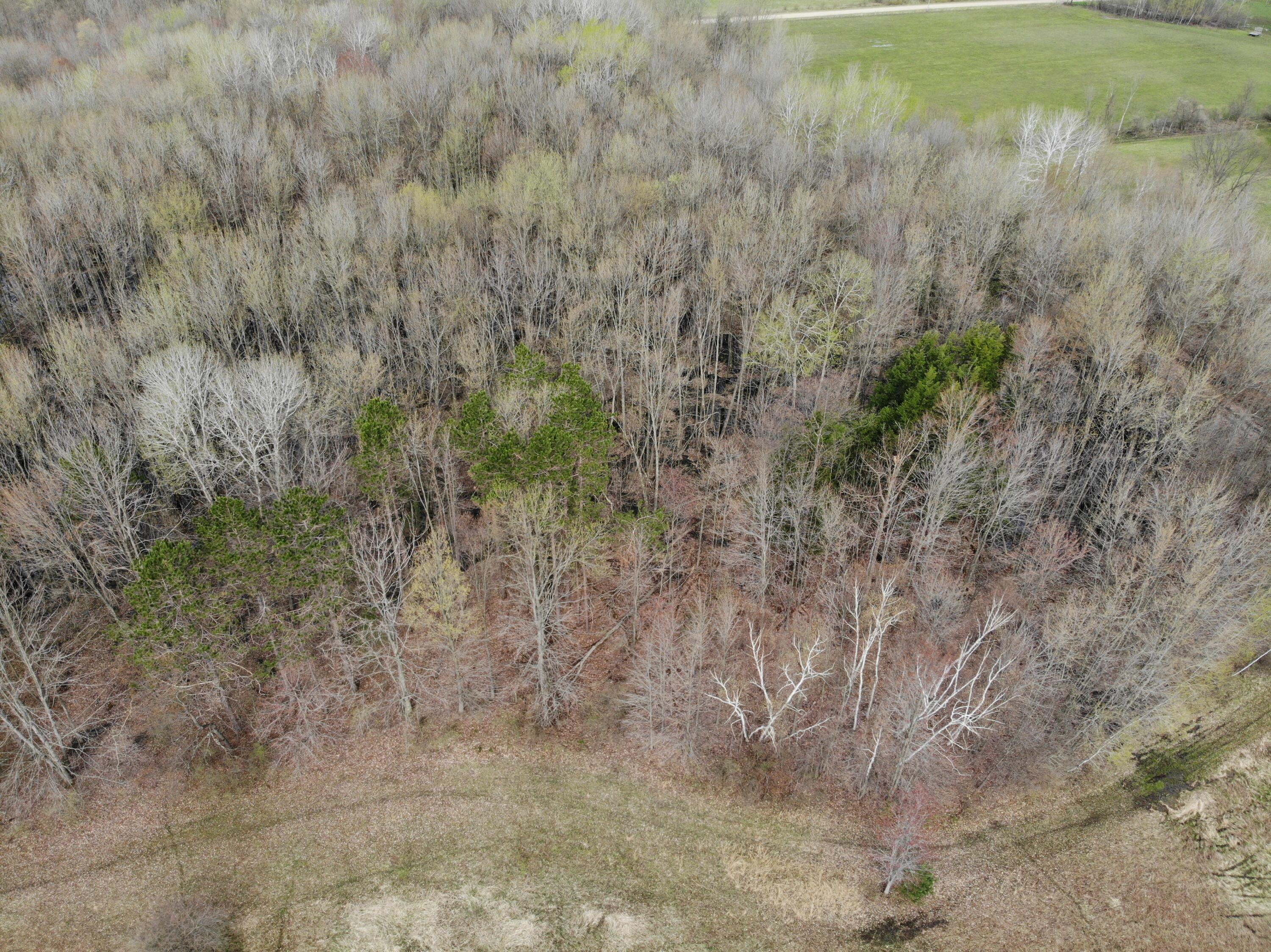 2390 North Larson Road Fountain, MI 49410 - Photo 23 of 65 DJI_0114