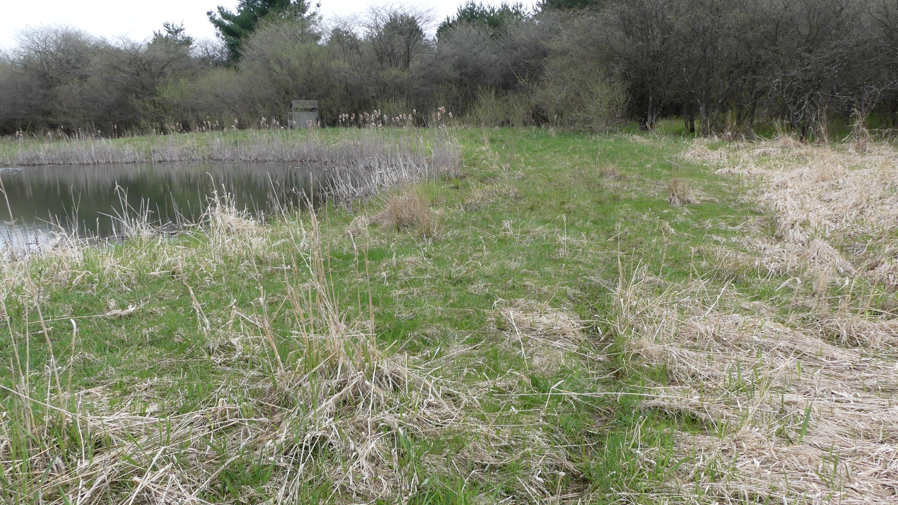 2390 North Larson Road Fountain, MI 49410 - Photo 34 of 65 P1050514
