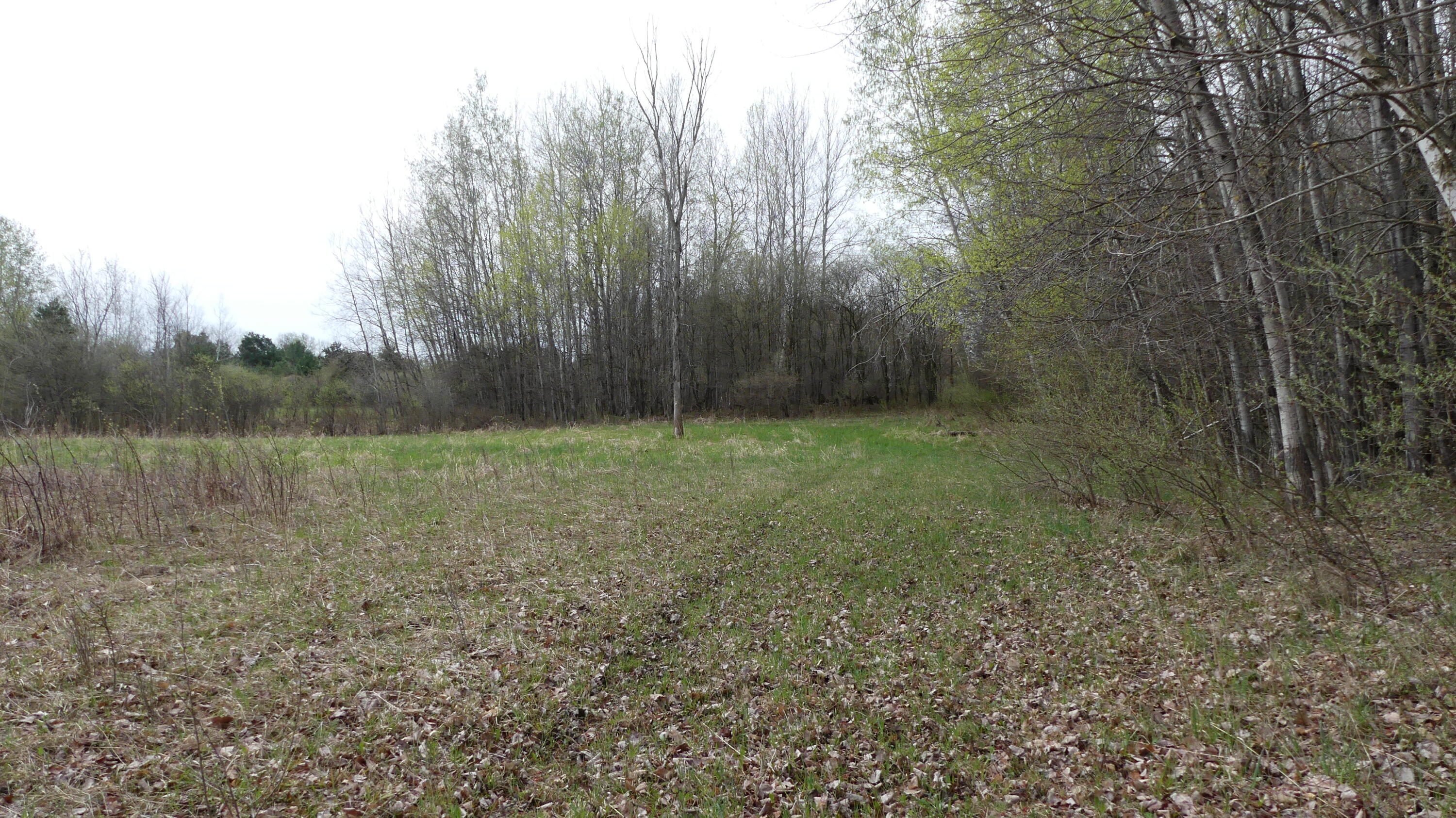 2390 North Larson Road Fountain, MI 49410 - Photo 36 of 65 P1050519