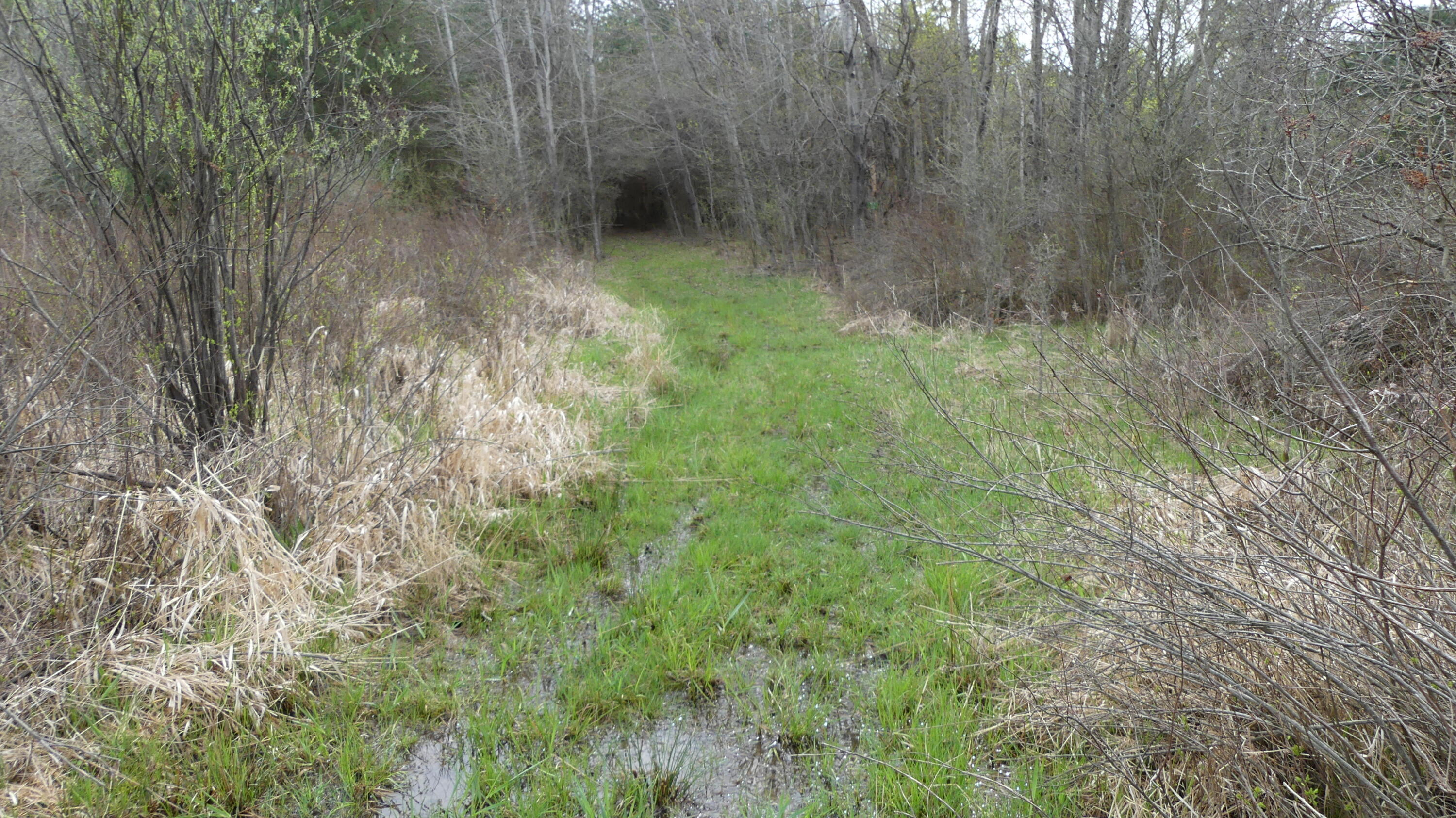 2390 North Larson Road Fountain, MI 49410 - Photo 42 of 65 P1050537