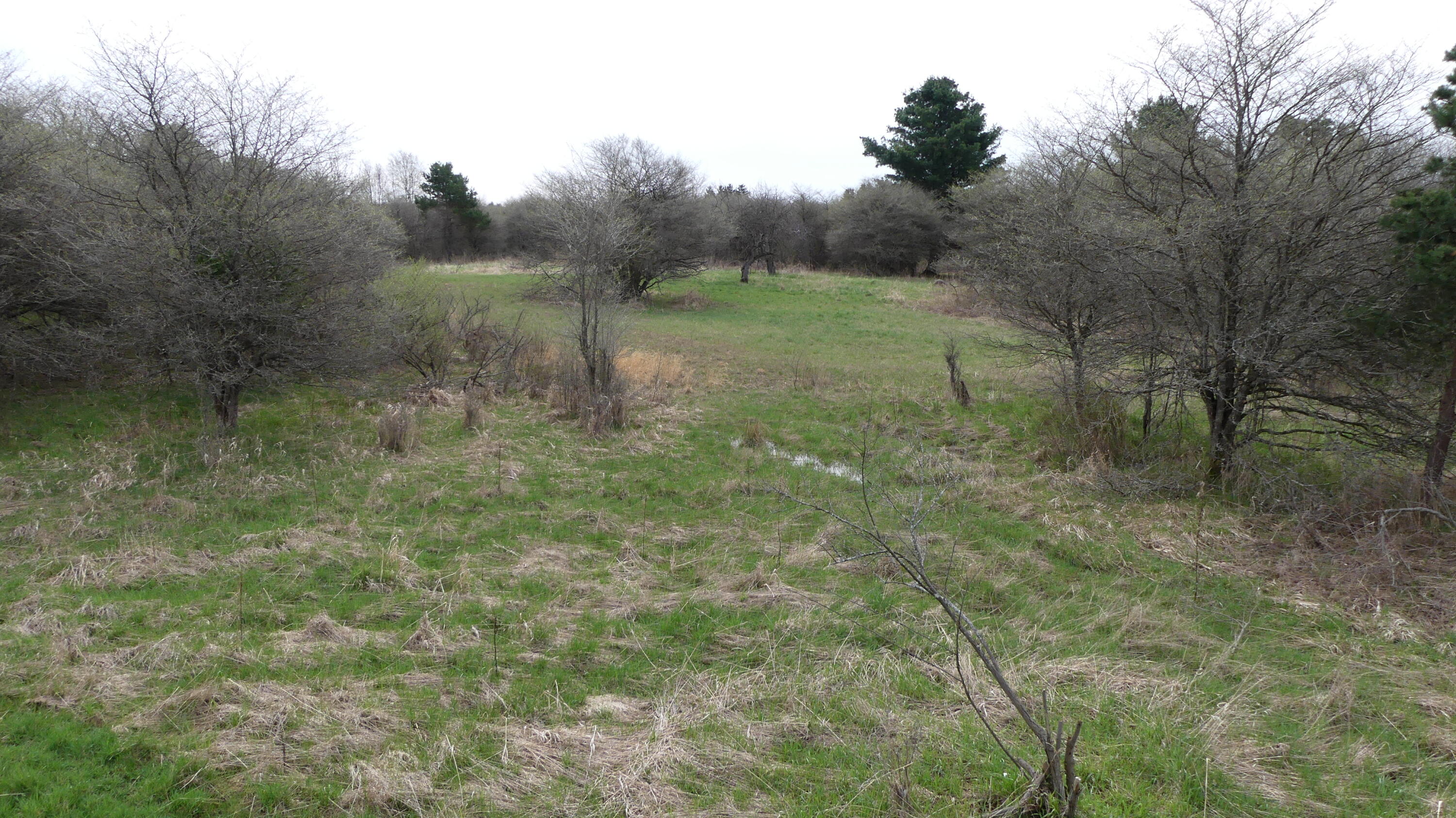 2390 North Larson Road Fountain, MI 49410 - Photo 46 of 65 P1050553