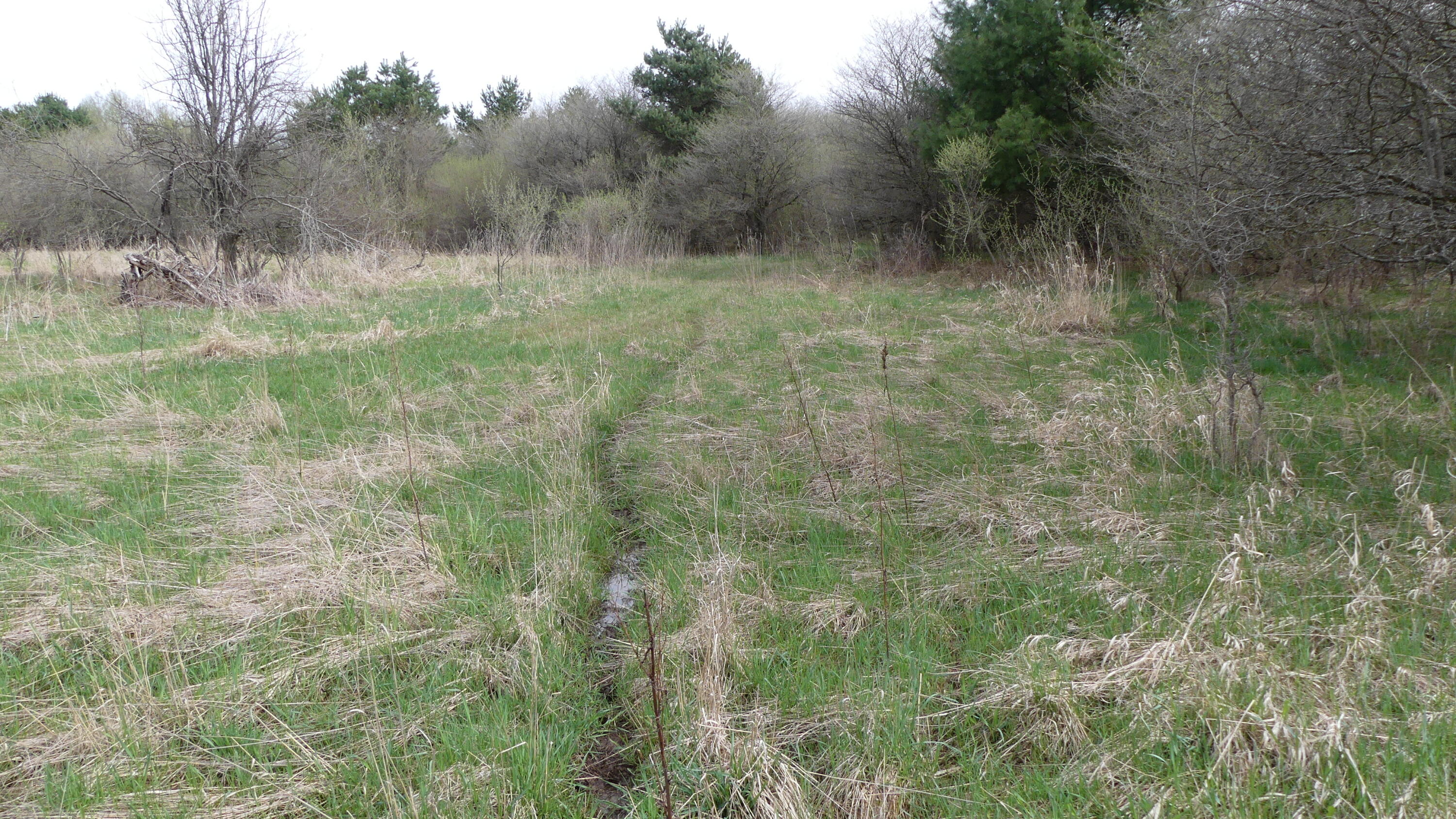 2390 North Larson Road Fountain, MI 49410 - Photo 47 of 65 P1050554