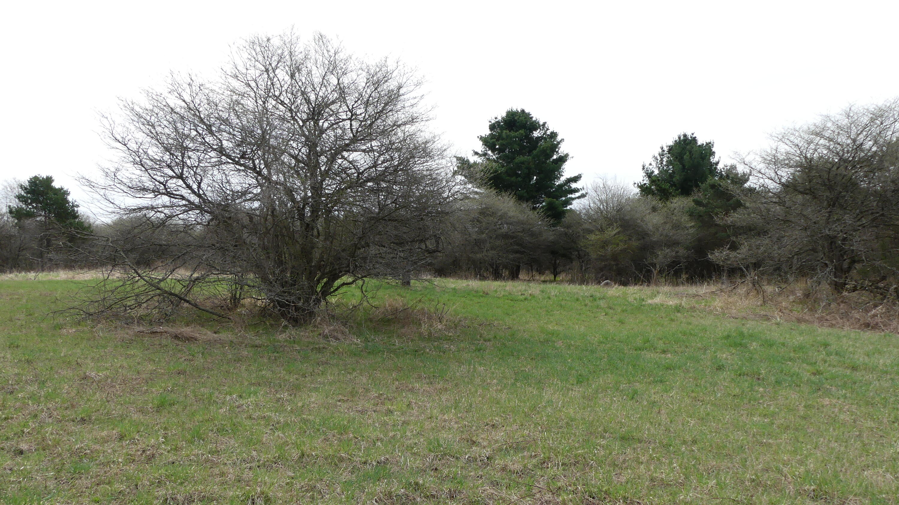 2390 North Larson Road Fountain, MI 49410 - Photo 48 of 65 P1050555