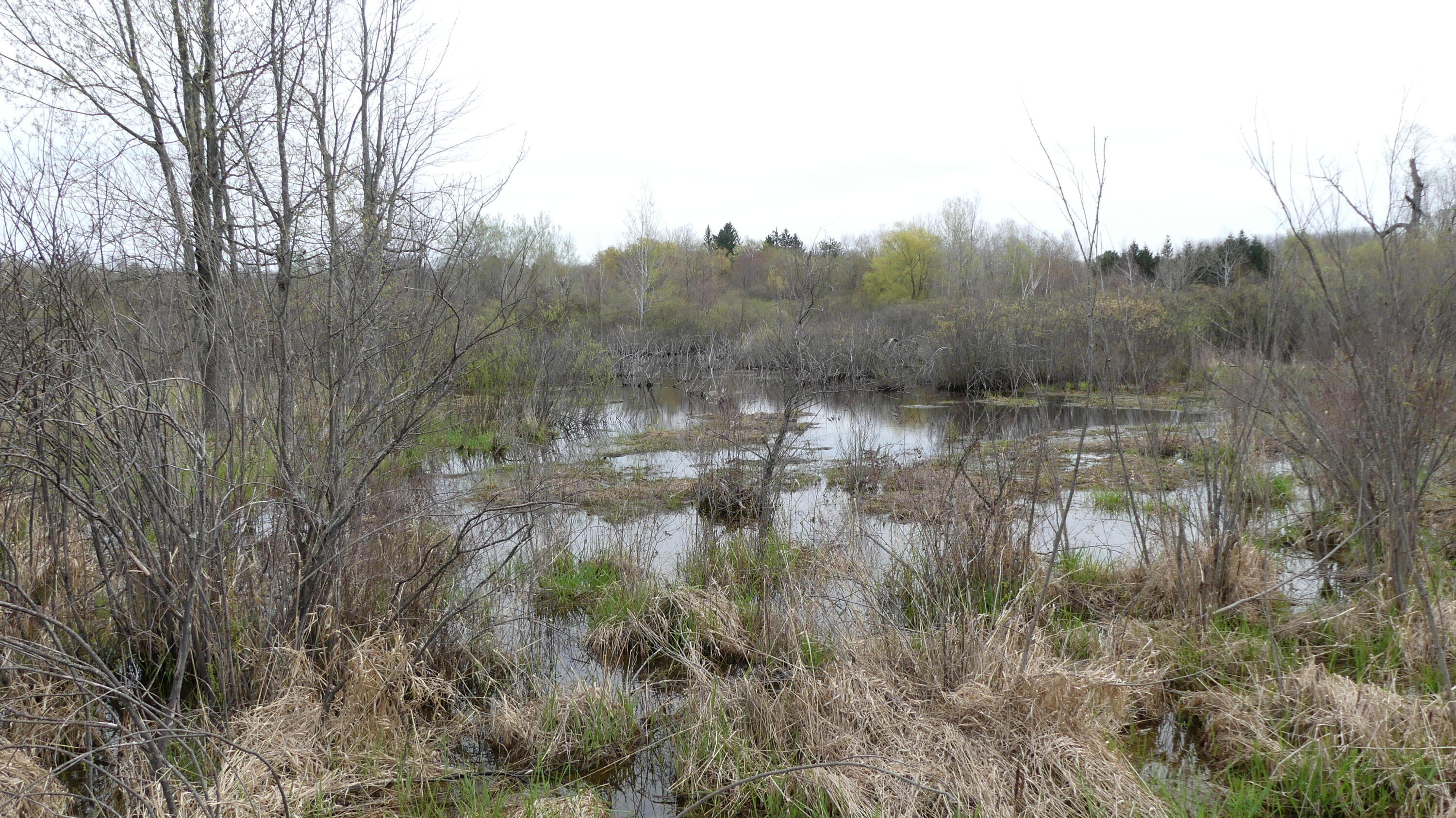 2390 North Larson Road Fountain, MI 49410 - Photo 52 of 65 P1050570