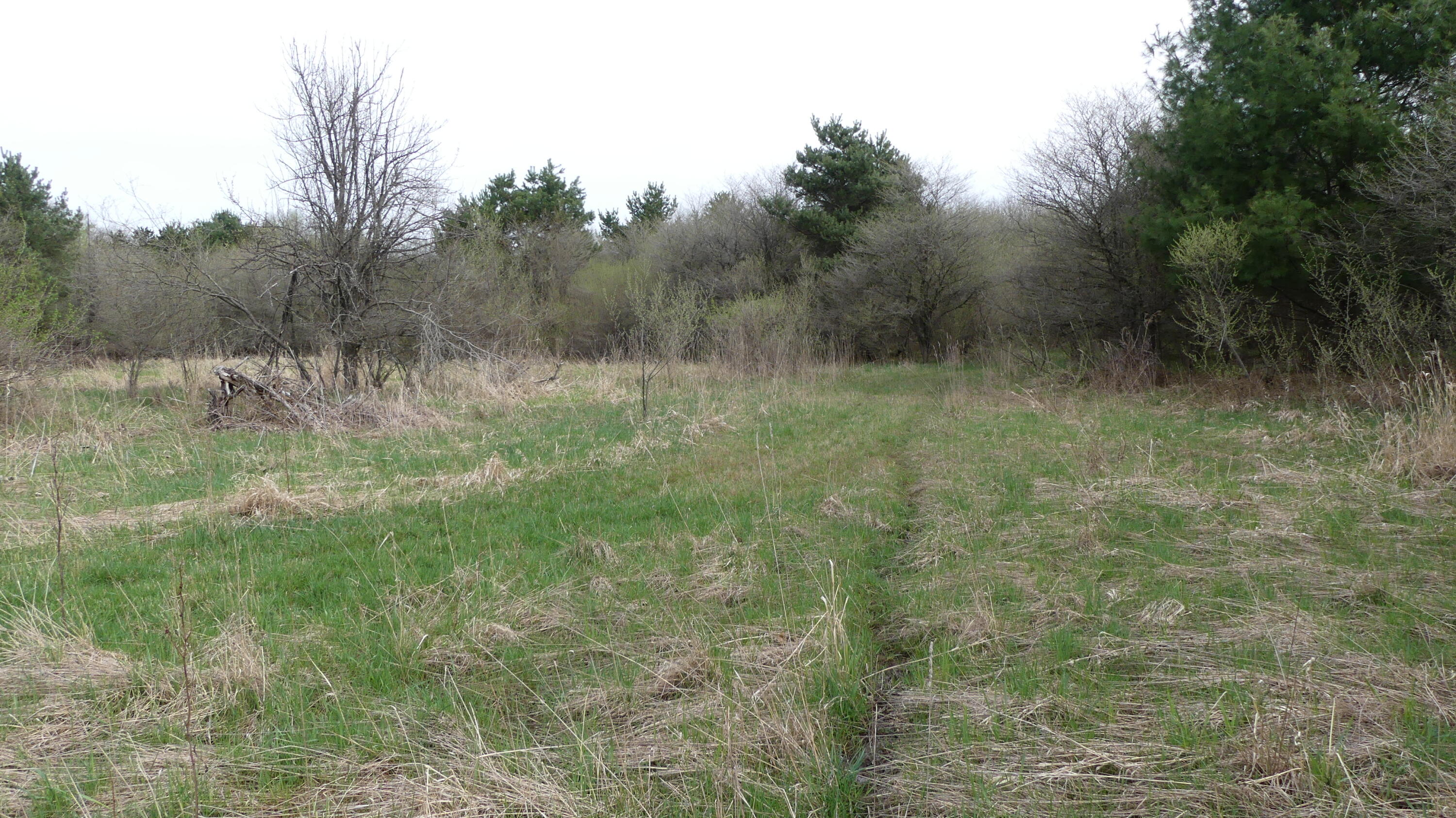 2390 North Larson Road Fountain, MI 49410 - Photo 54 of 65 P1050579