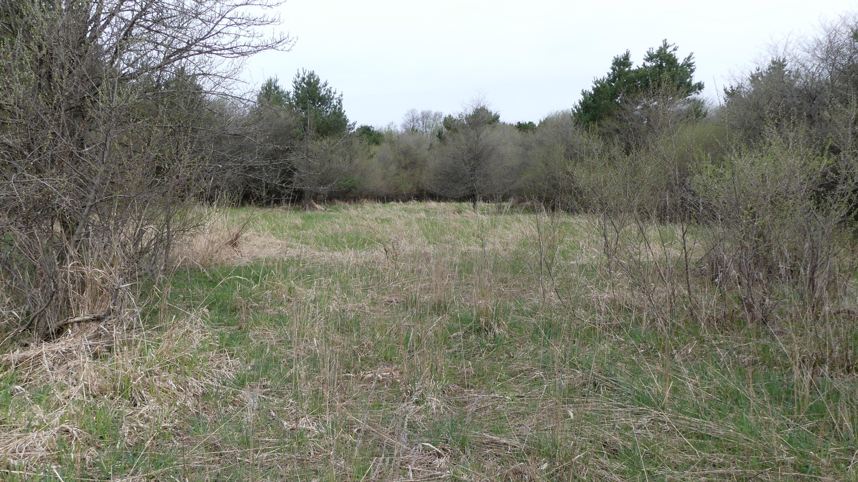 2390 North Larson Road Fountain, MI 49410 - Photo 55 of 65 P1050580