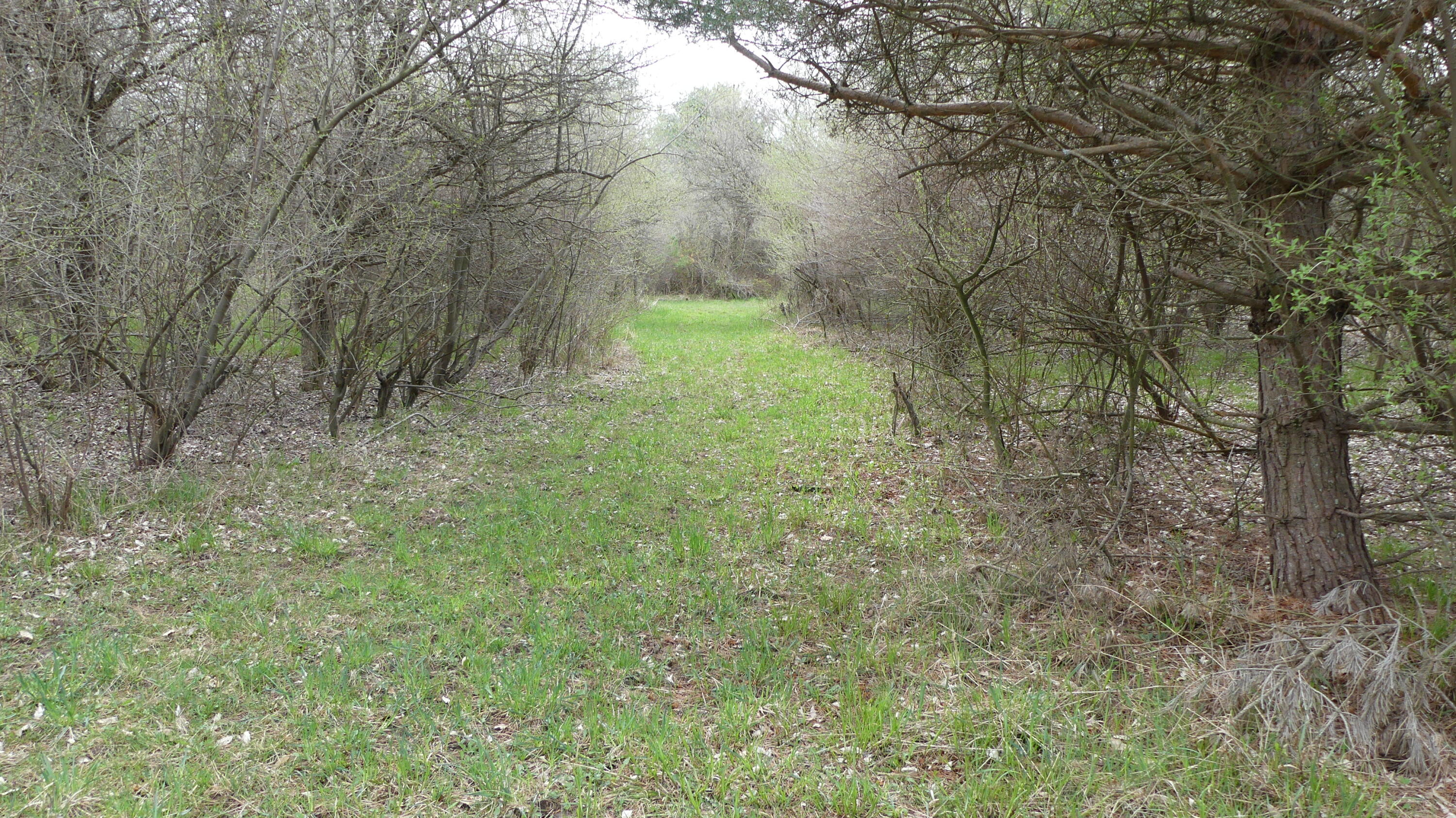2390 North Larson Road Fountain, MI 49410 - Photo 56 of 65 P1050583