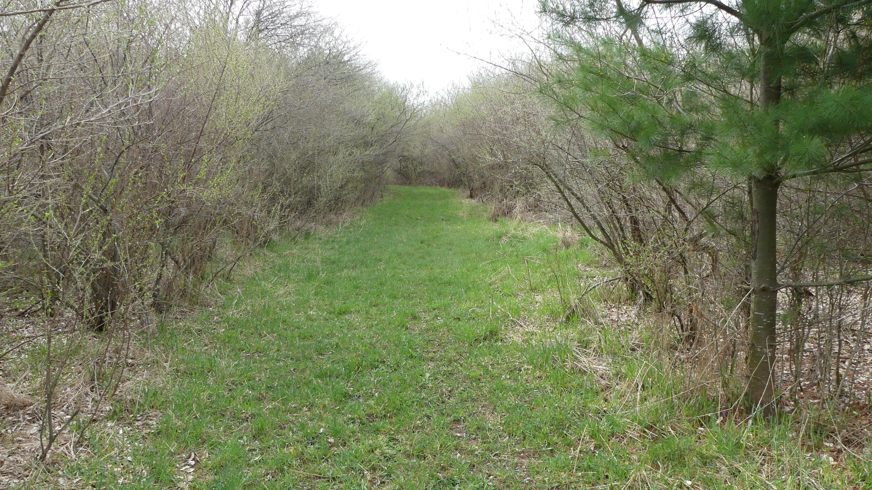 2390 North Larson Road Fountain, MI 49410 - Photo 57 of 65 P1050587