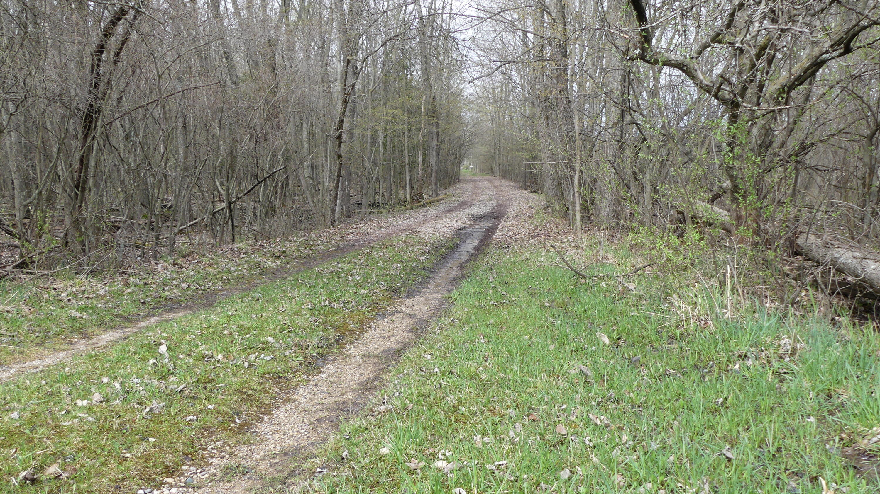2390 North Larson Road Fountain, MI 49410 - Photo 58 of 65 P1050603