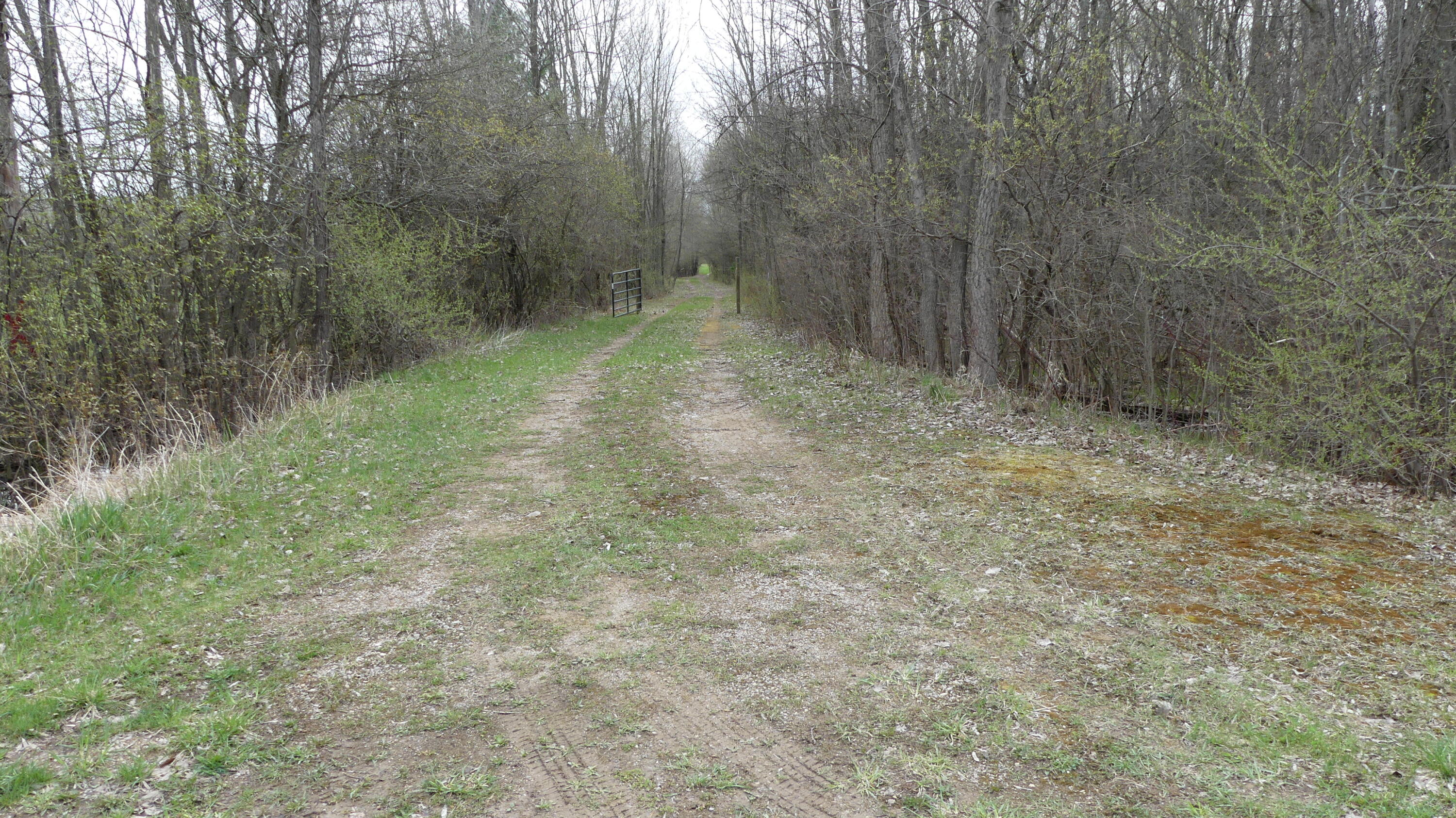 2390 North Larson Road Fountain, MI 49410 - Photo 59 of 65 P1050607