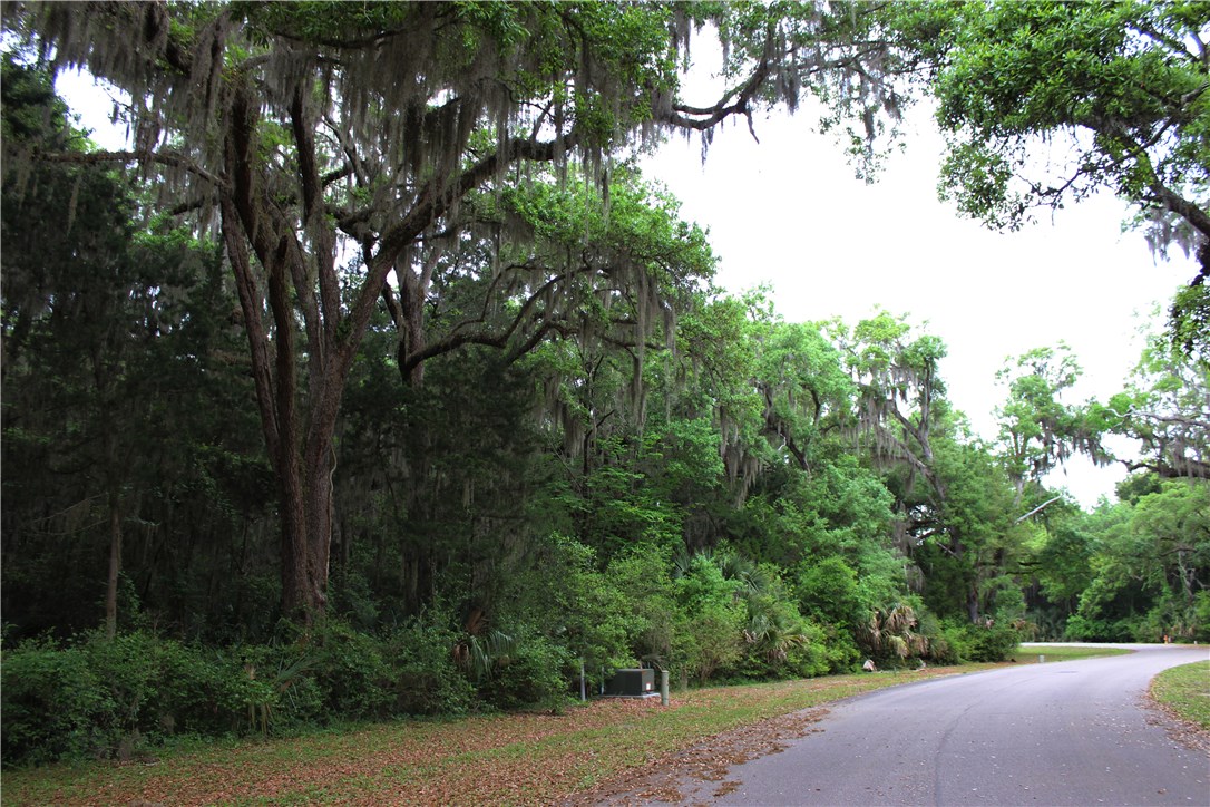 Lot 39 Brady Point Road Fernandina Beach, FL 32034 - Photo 4 of 11 Gallery Image 4