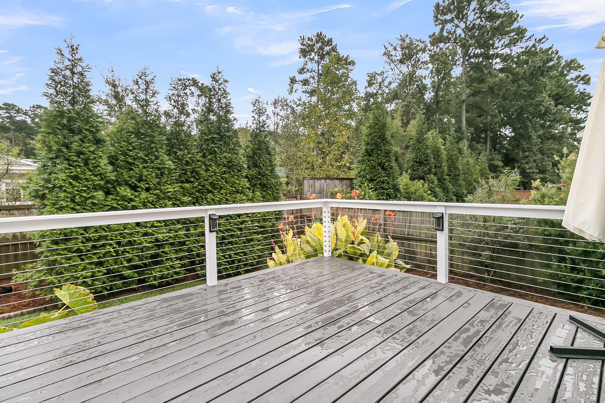 2855 Wagner Way Mount Pleasant, SC 29466 - Photo 55 of 61 deck