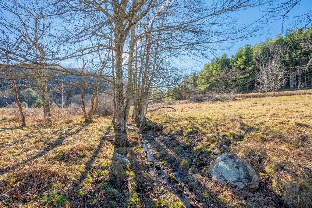 Tbd Conner Grove Road Southwest Meadows Of Dan, VA 24120 - Photo 5 of 25 Gallery Image 5