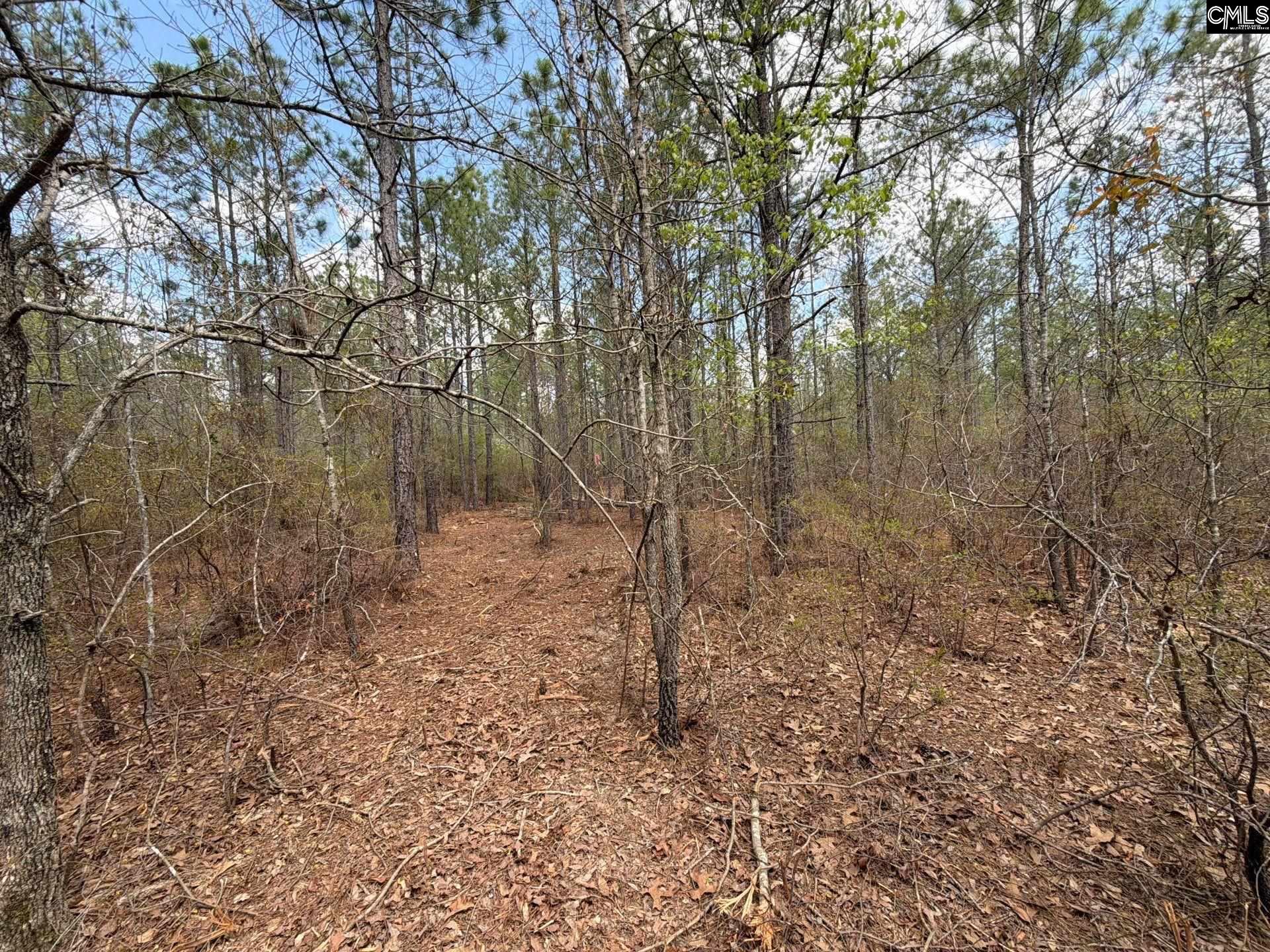 2 Mt Calvary Rd Ridge Spring, Unit CA 2 Ridge Spring, SC 29129 - Photo 27 of 29
