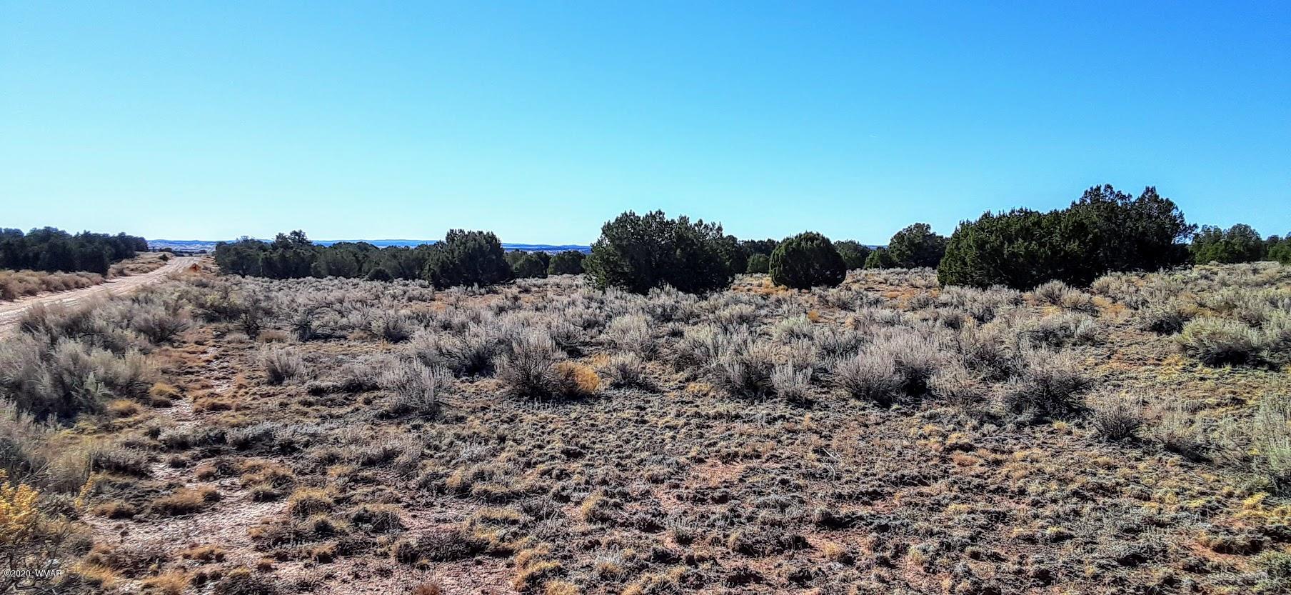 3734 Bum Heel Ranch Road Heber, AZ 85928 - Photo 3 of 13 Gallery Image 3